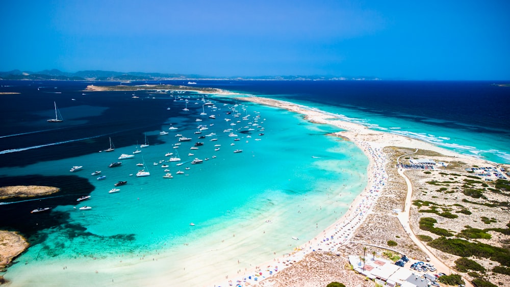 a beach with boats and water