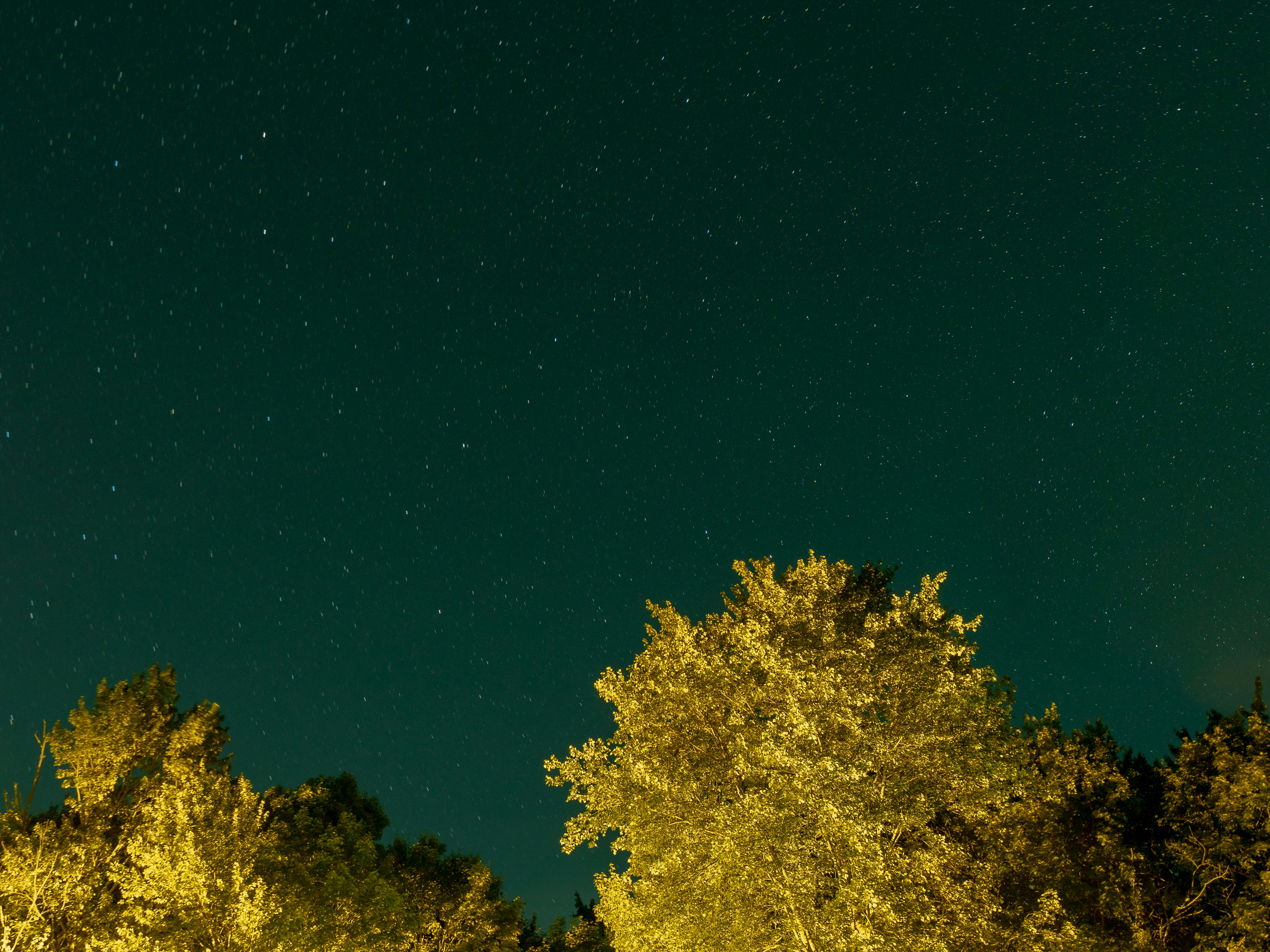 Photo by gabrielalmanzar