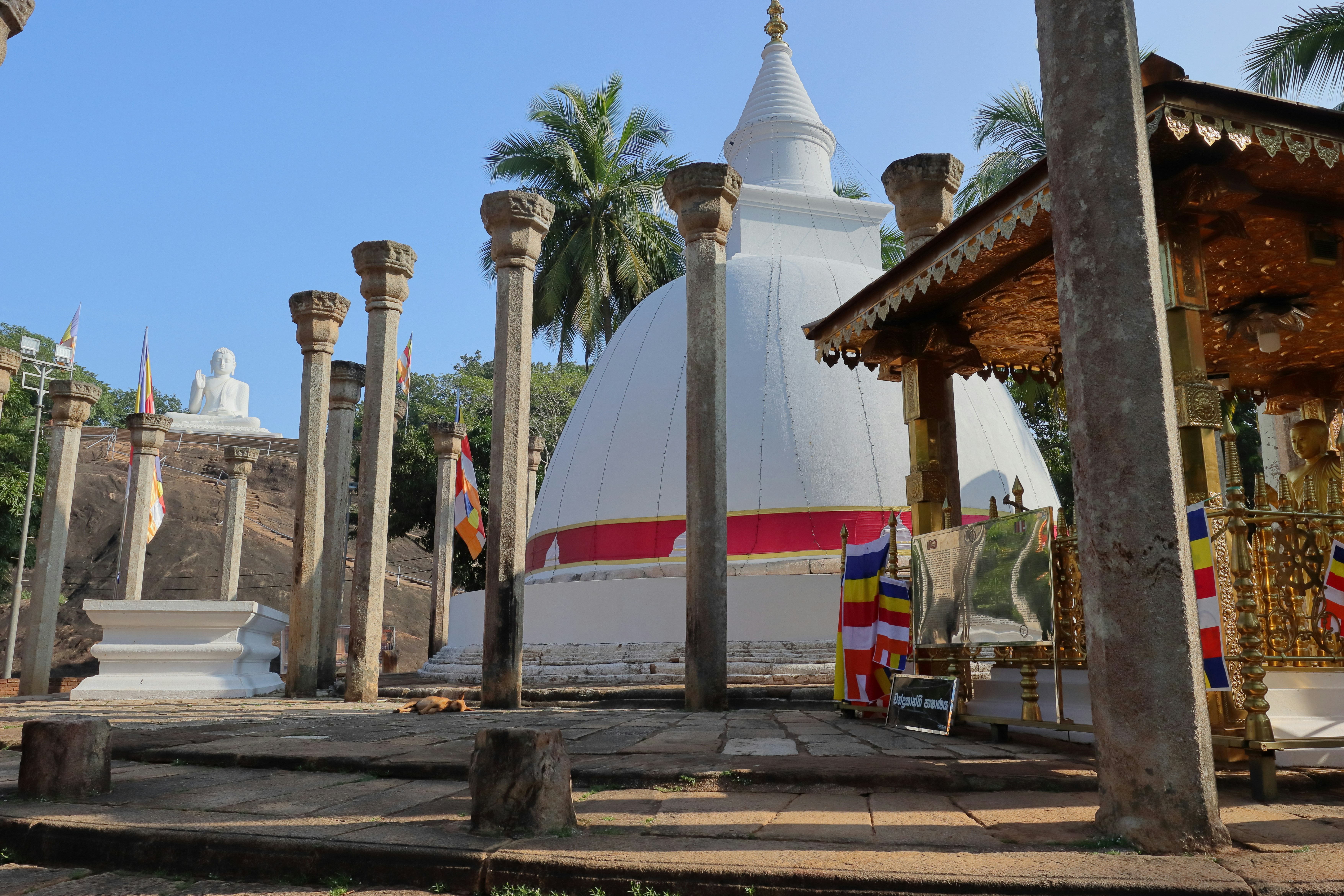 Photo by rathna_deepaya