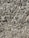 A dense layer of grayish-brown wood chips and bark fragments covers the ground. The texture appears rough and uneven, with various sizes and shapes of wood pieces layered chaotically.