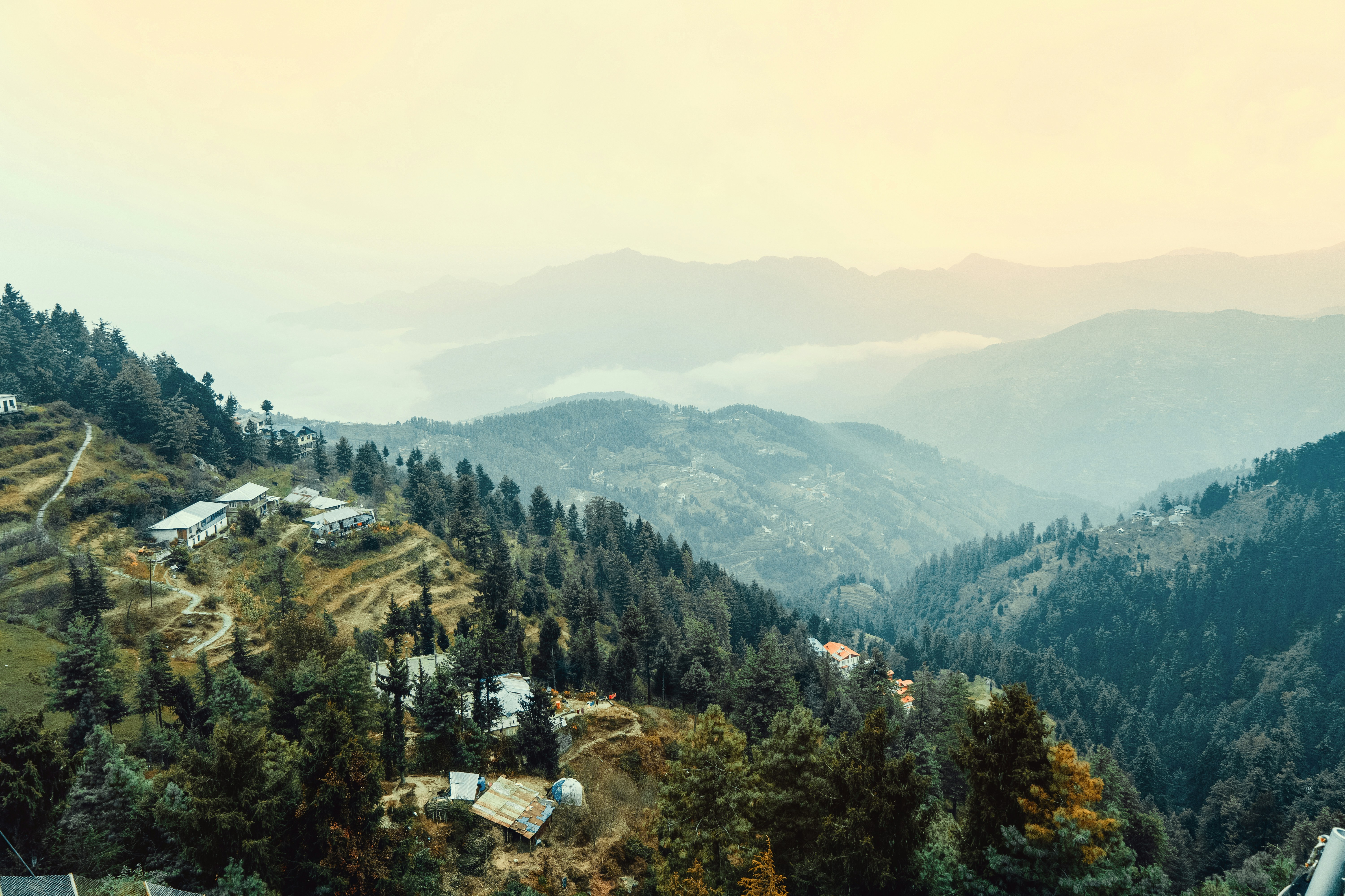 a landscape with trees and buildings