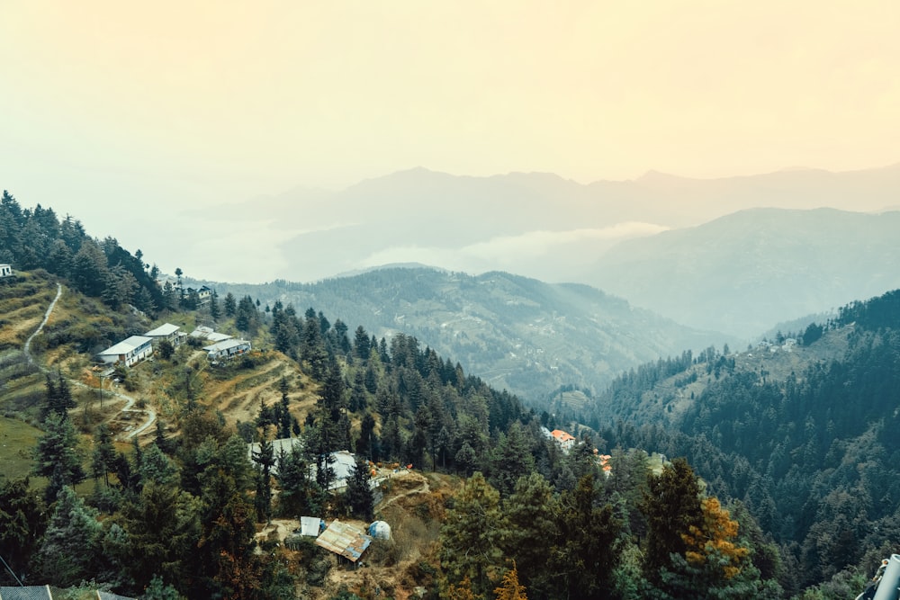 a landscape with trees and buildings