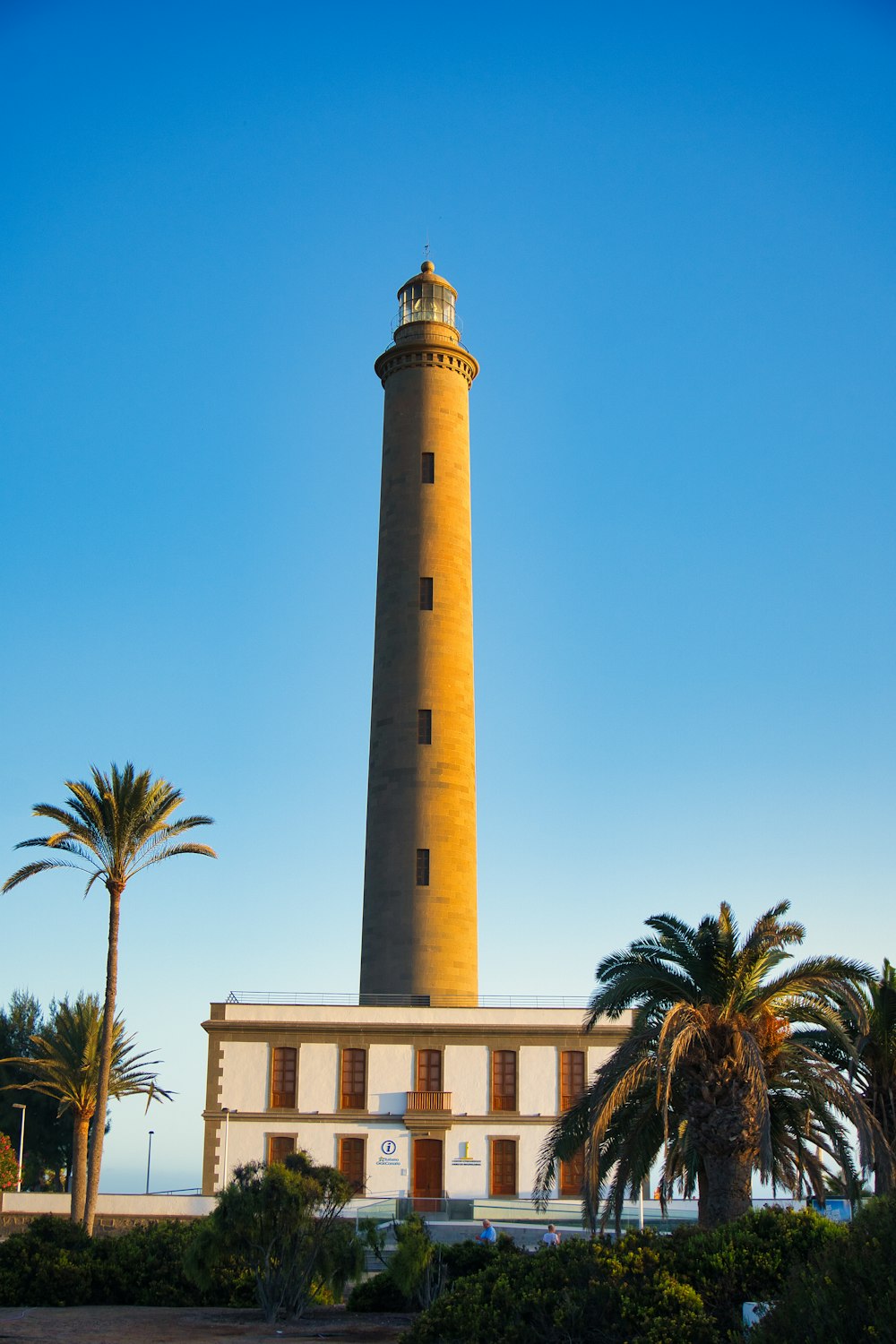 a small clock tower in front of a palm tree