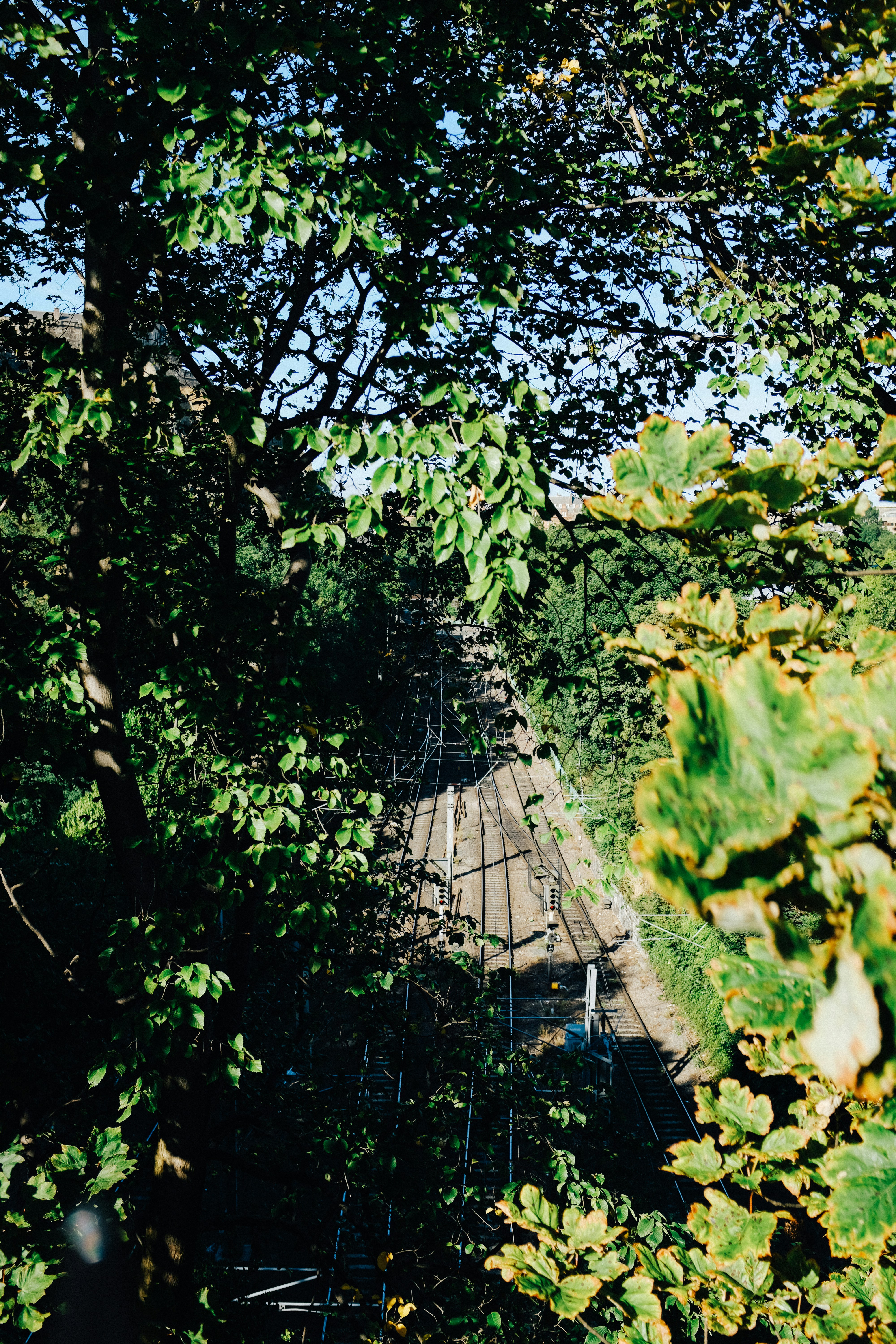 Photo by adrienolichon