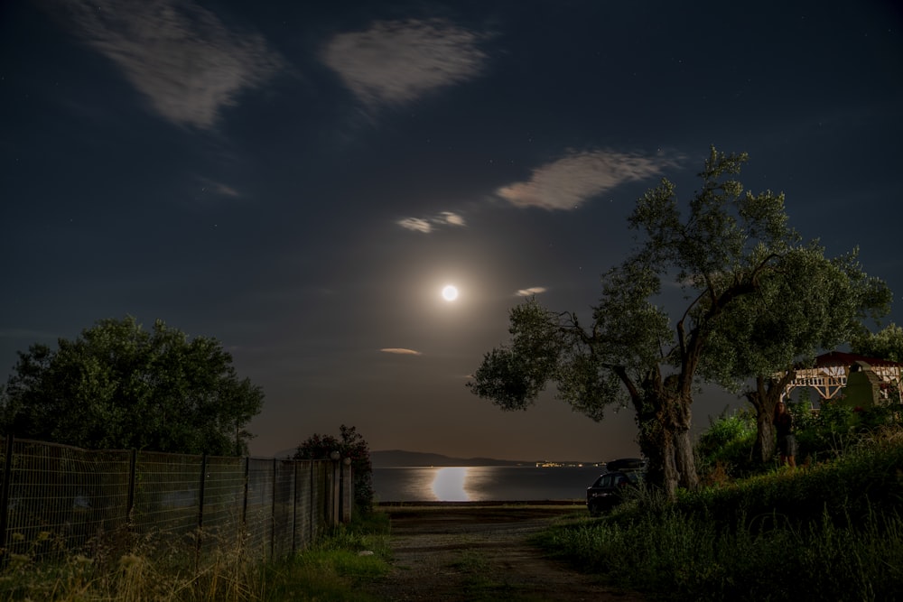 a road with a fence and trees by a body of water