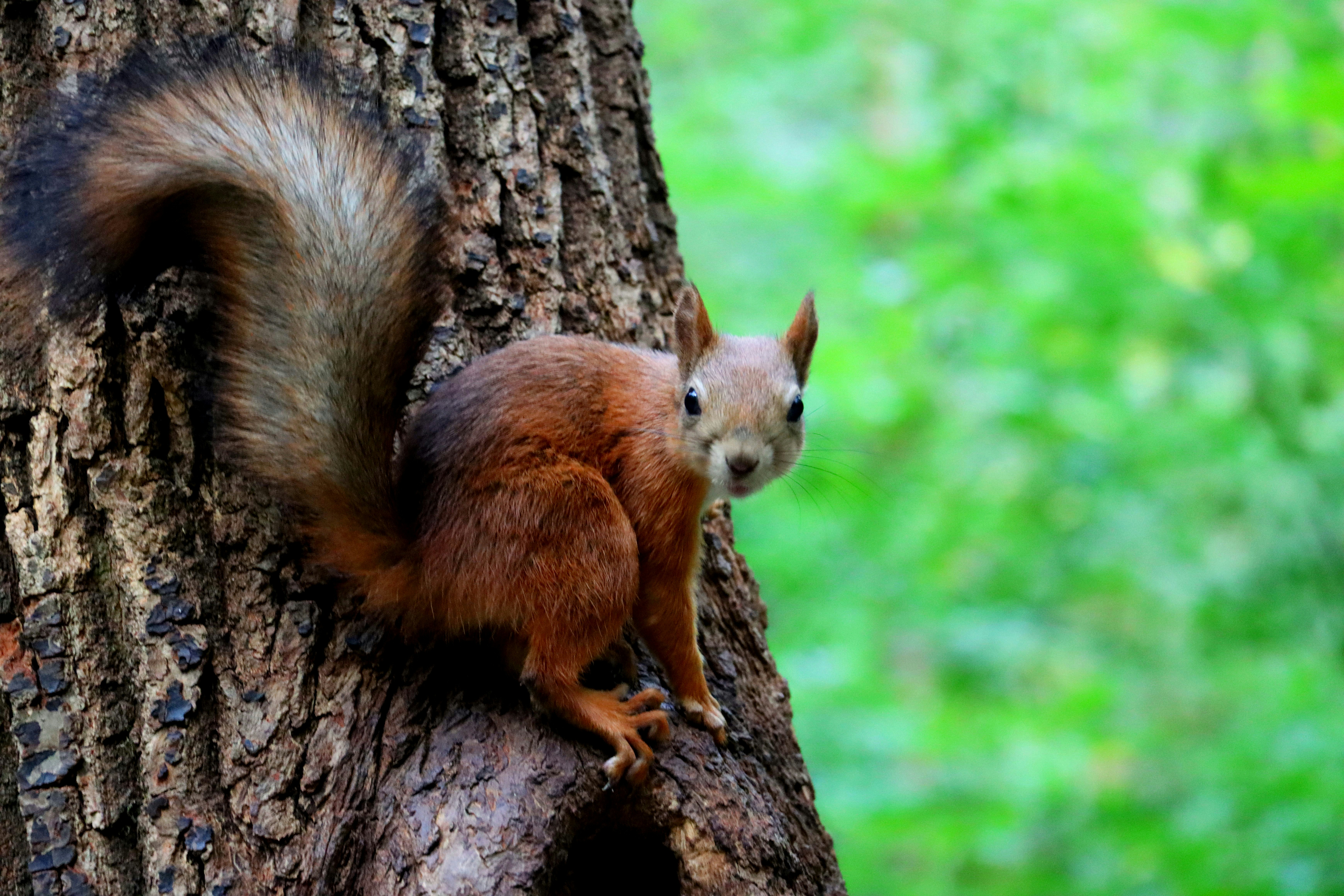 Photo by irina_chishkova