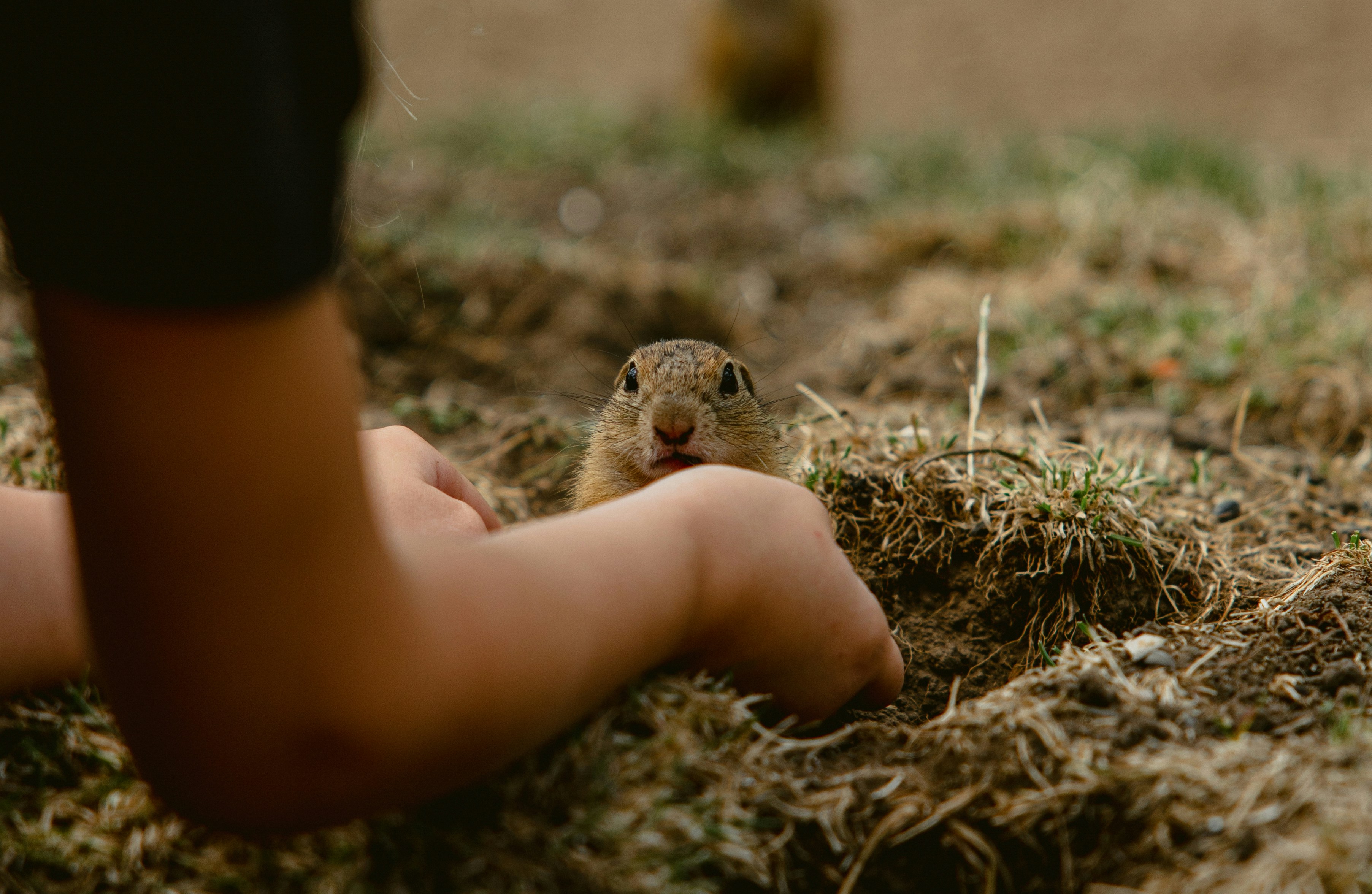 Lessons in Kindness (image credits: unsplash)