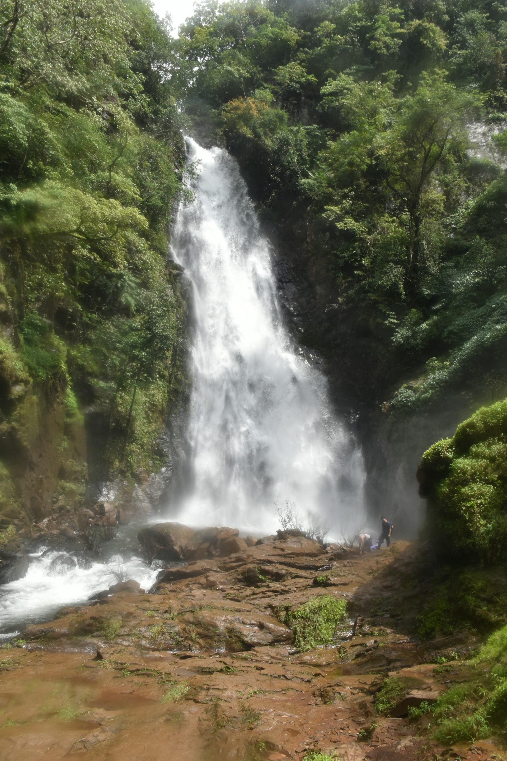 a waterfall in a forest