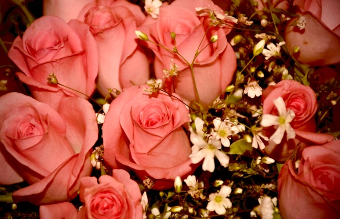 A vibrant bouquet of pink and white flowers arranged elegantly.
