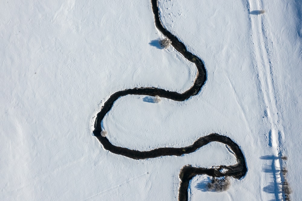 a snake on a white surface