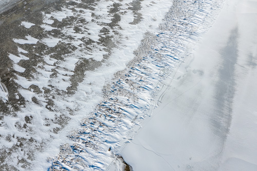 a snowy road with trees