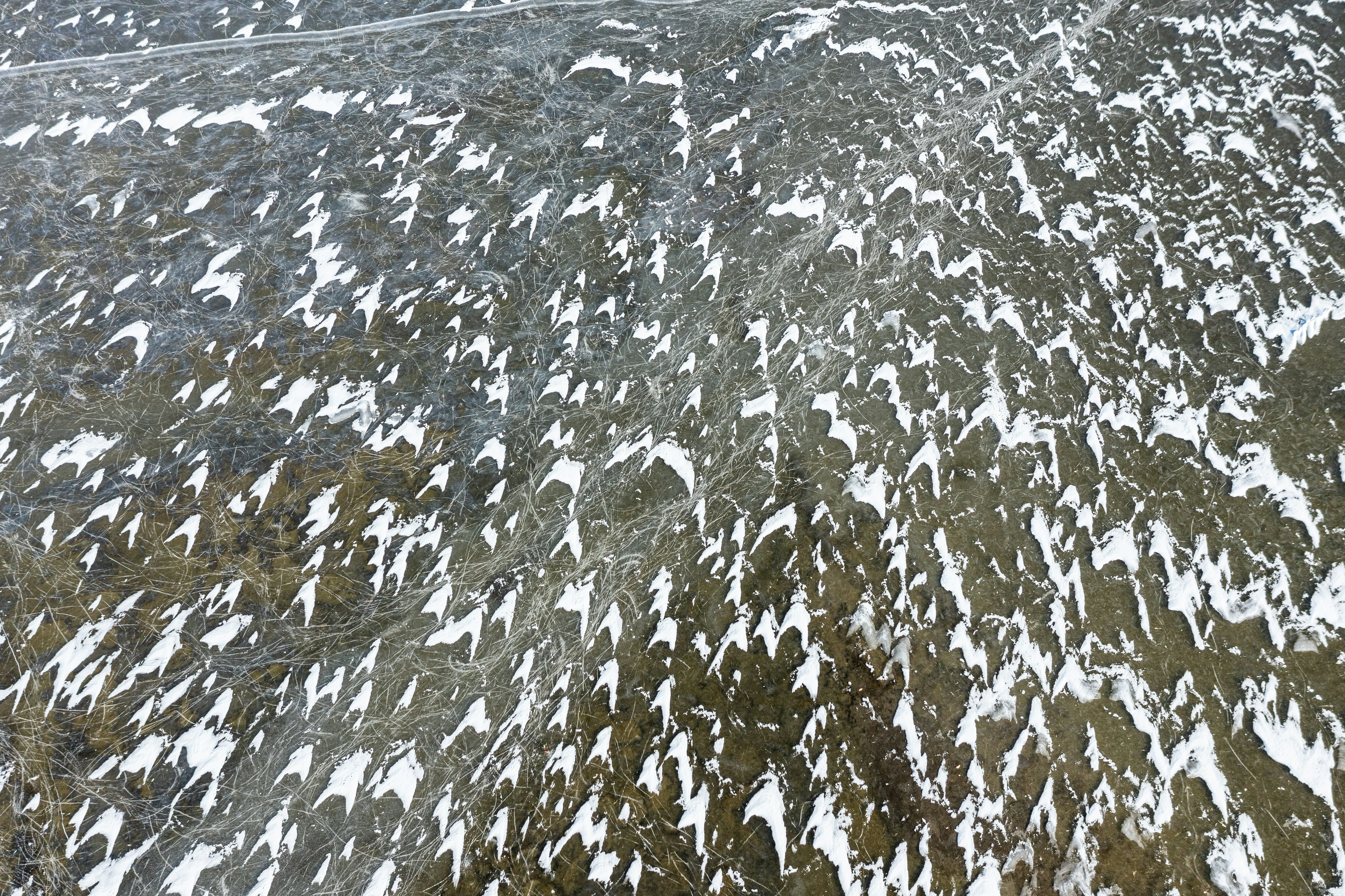 Un primer plano de una roca