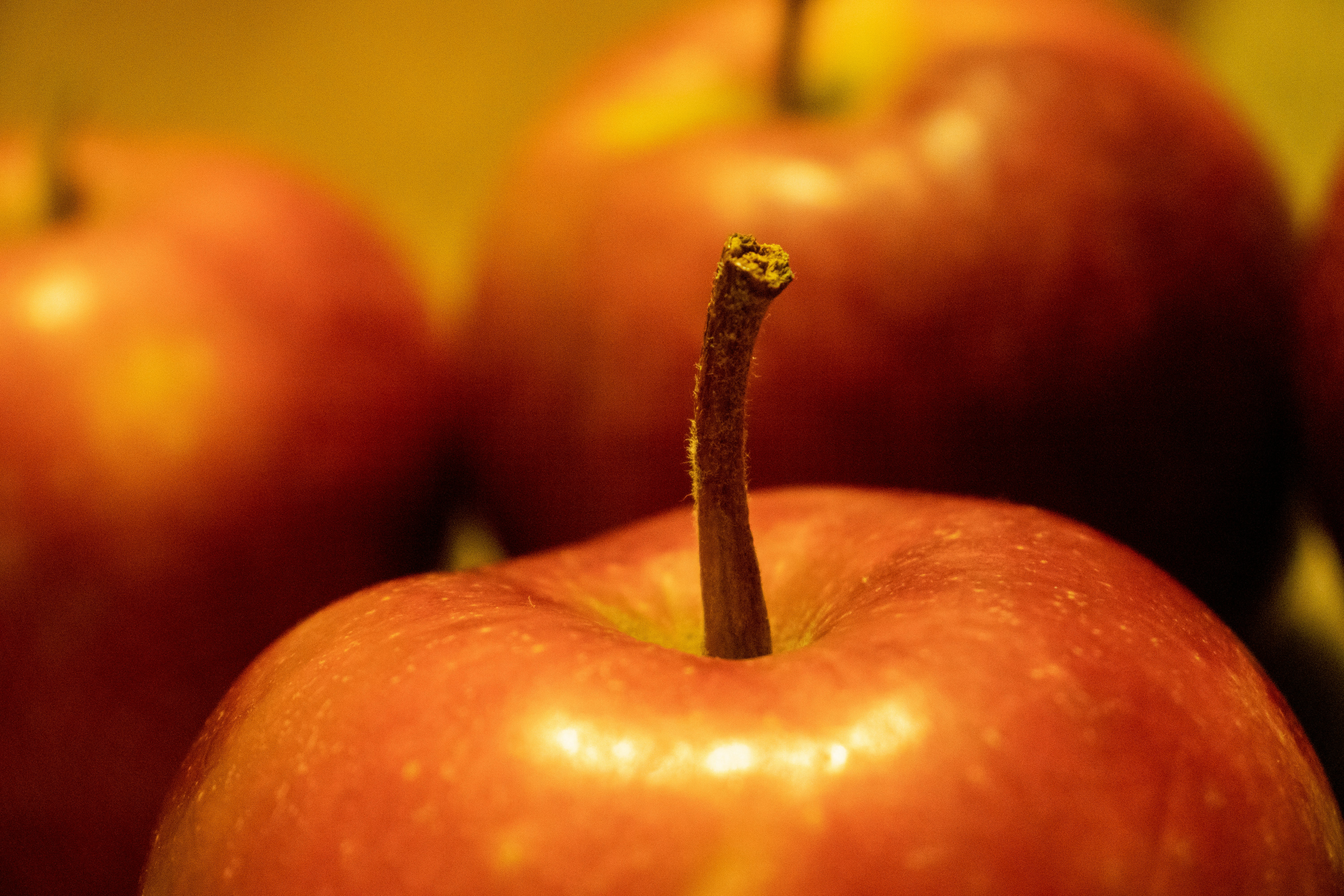 Unsplashで見つけるりんごの無料写真