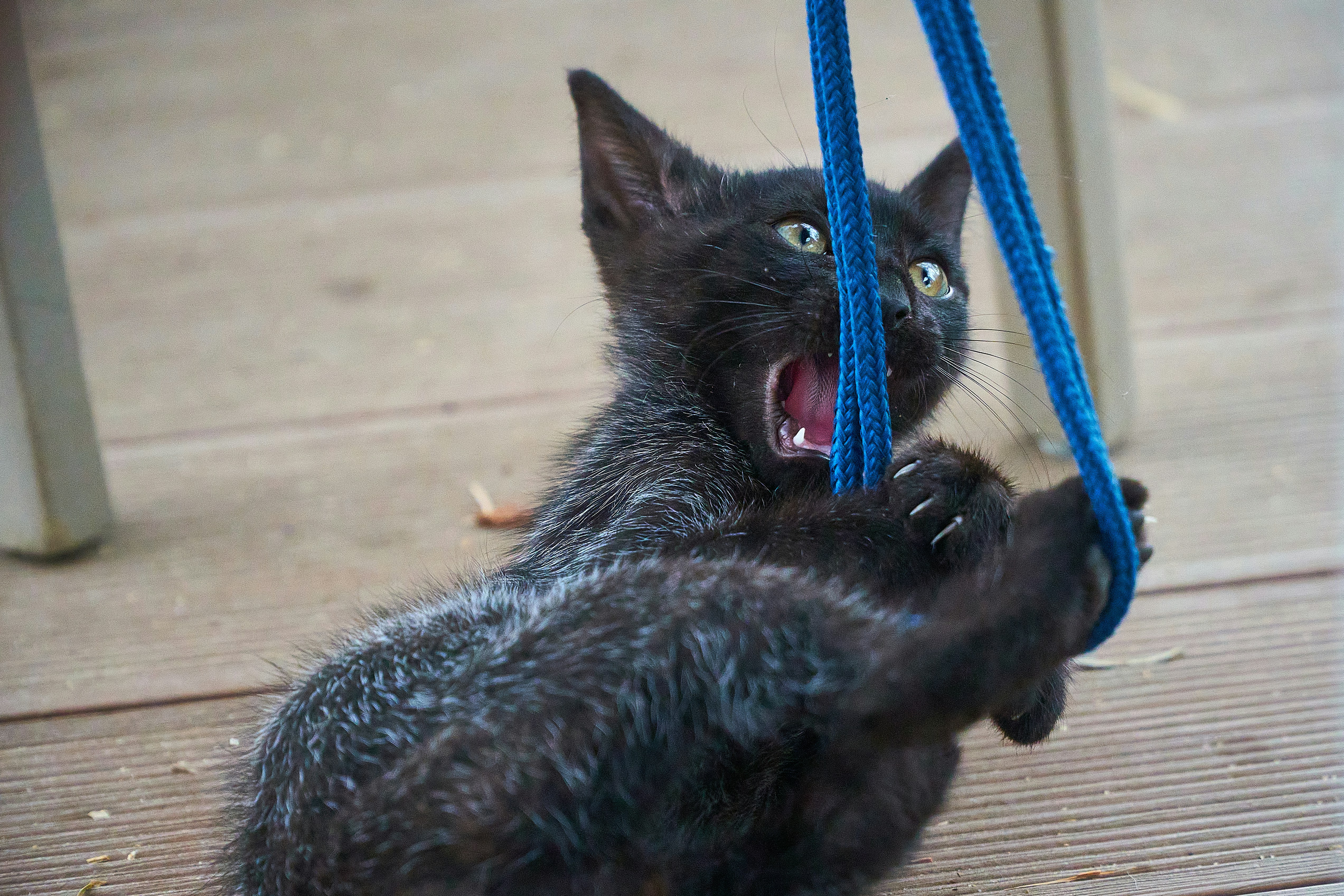 Conclusion (image credits: unsplash)