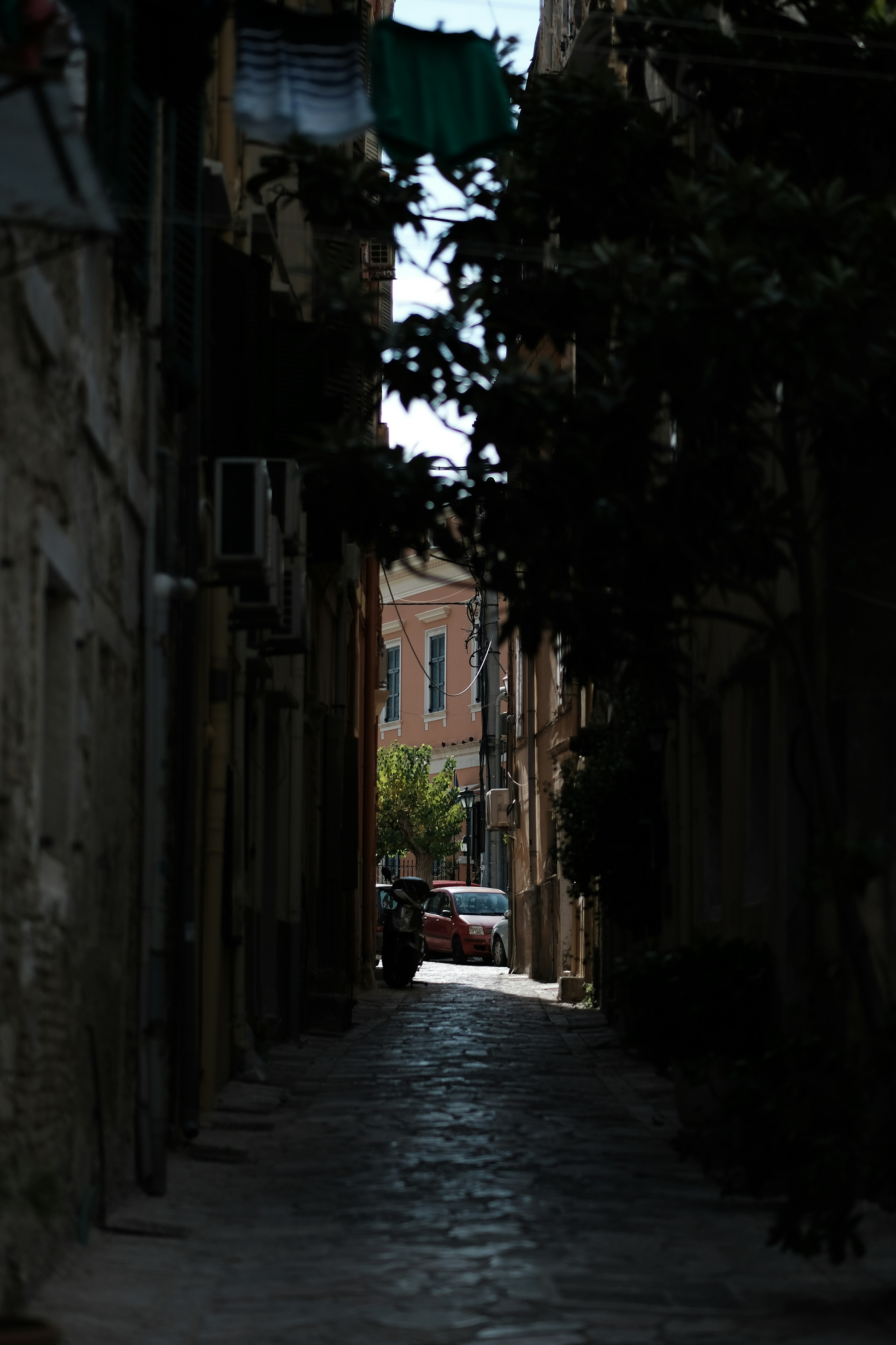 Photo by zaralazarov