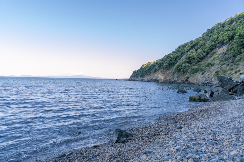 a rocky beach with a hill and trees on the side