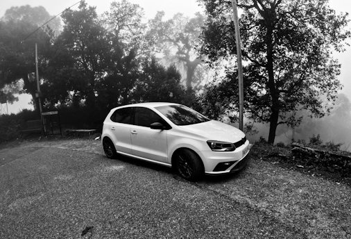 A rugged Volvo car parked in a misty northern forest during early morning.