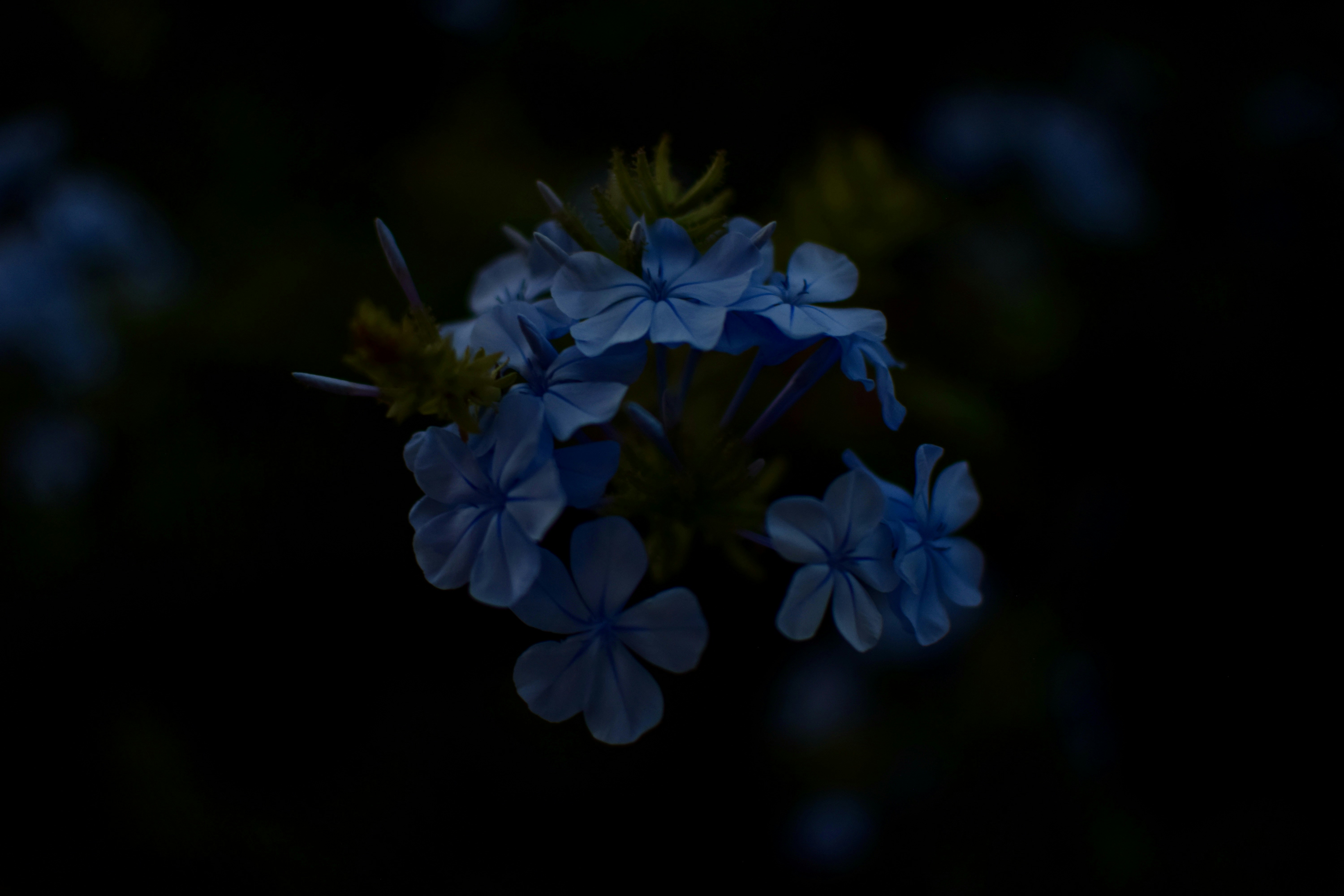 Photo by hitomibremmer