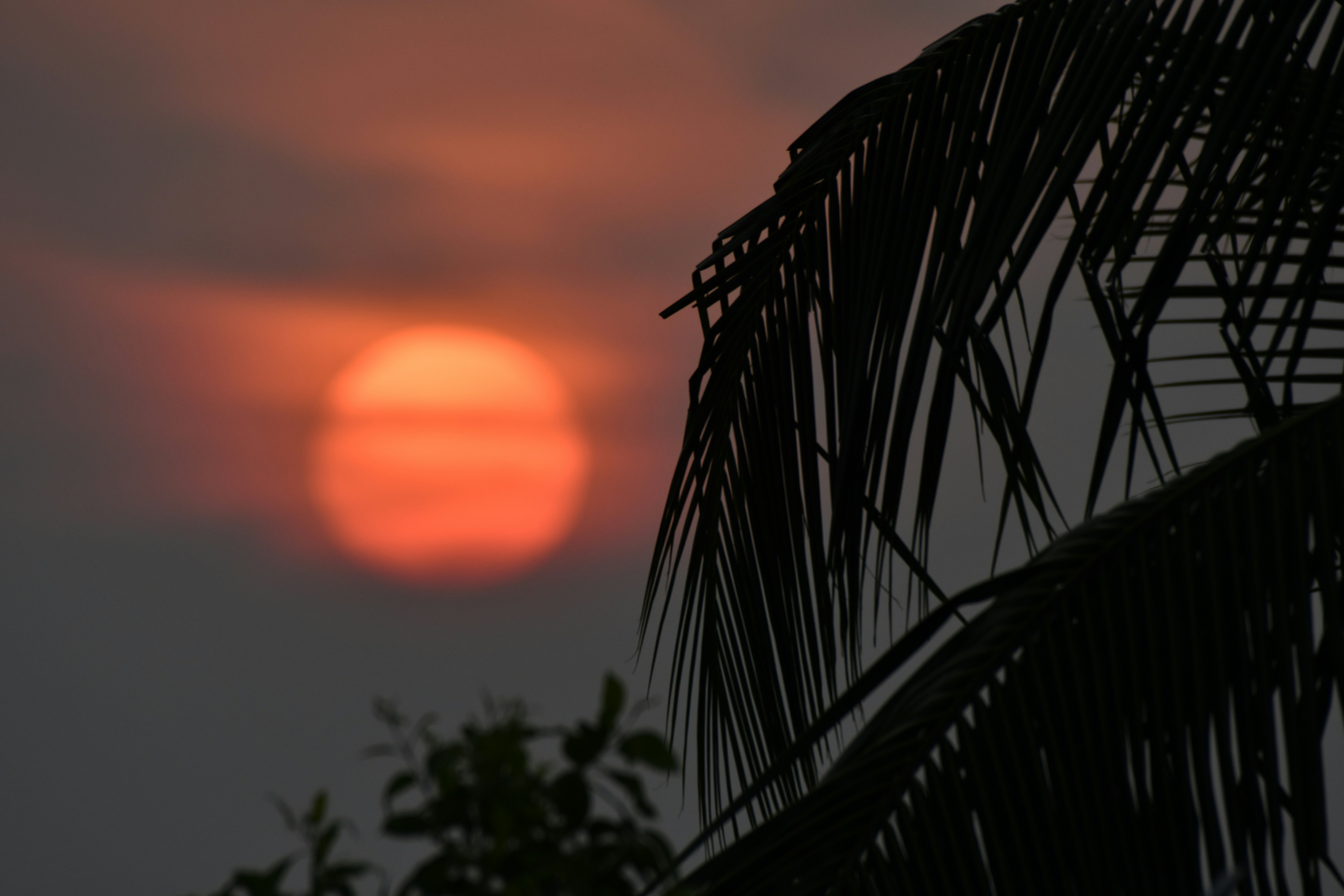 Photo by wrishi2004m