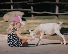 a little girl petting a goat
