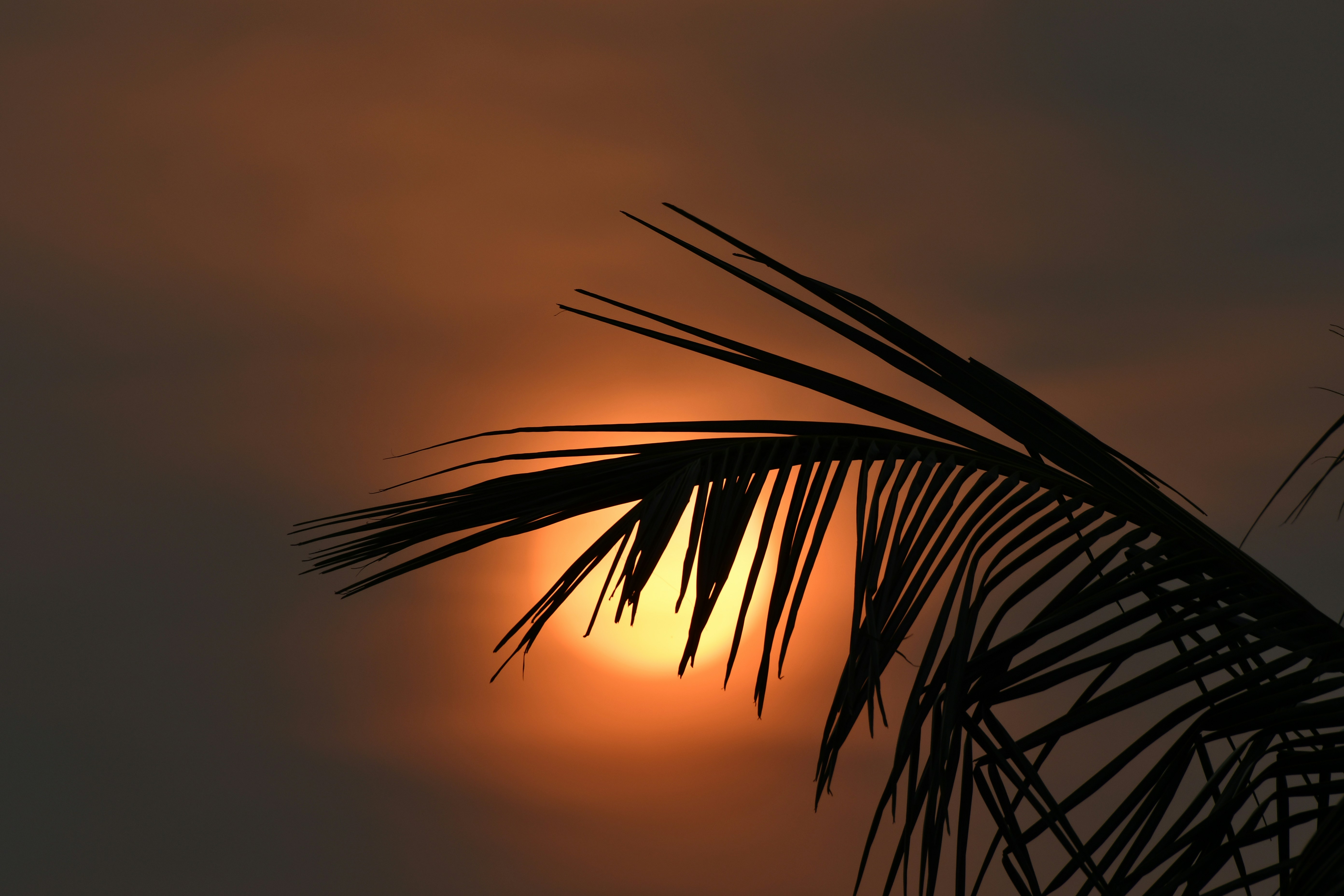 Photo by wrishi2004m