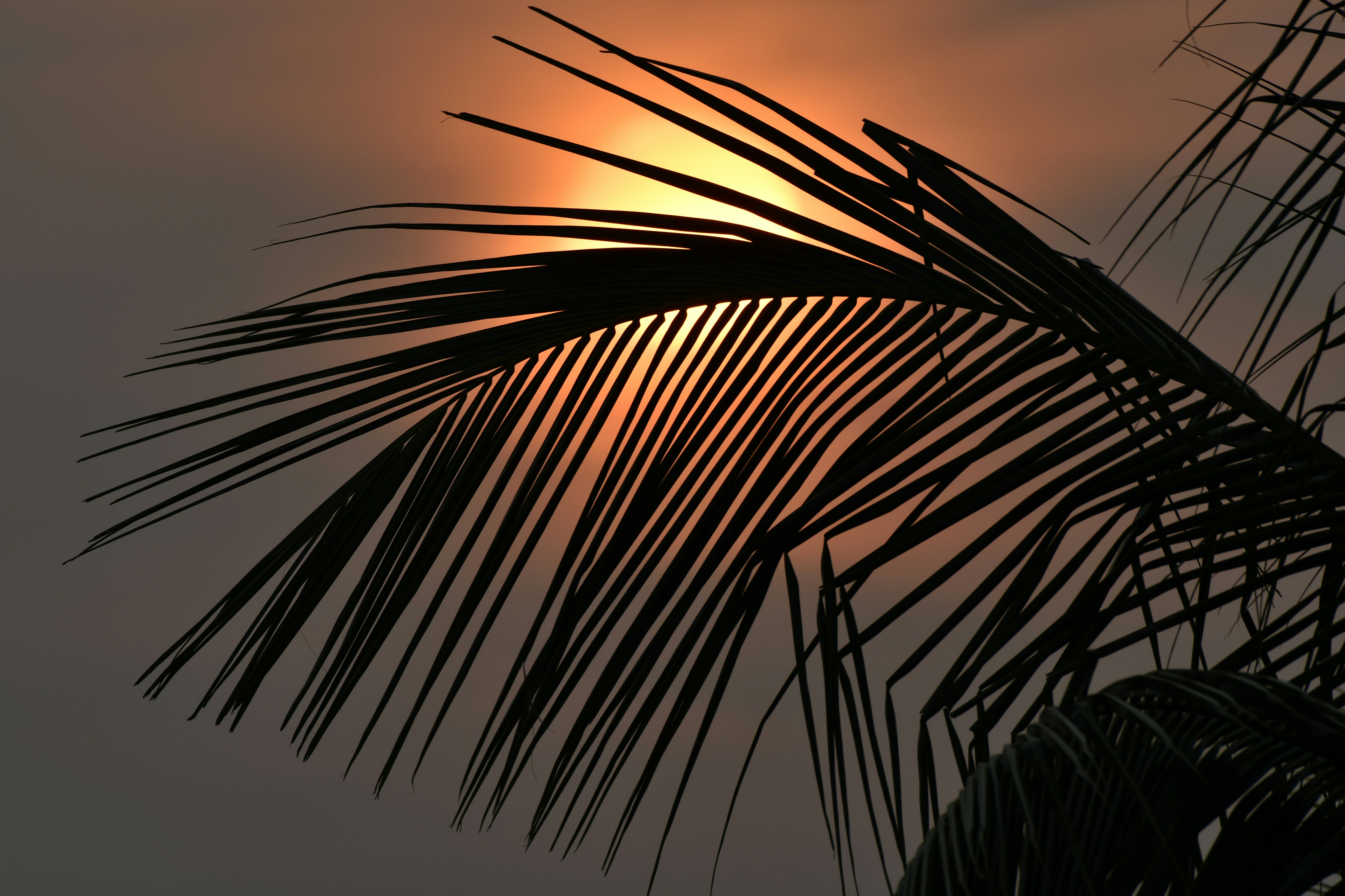 Photo by wrishi2004m