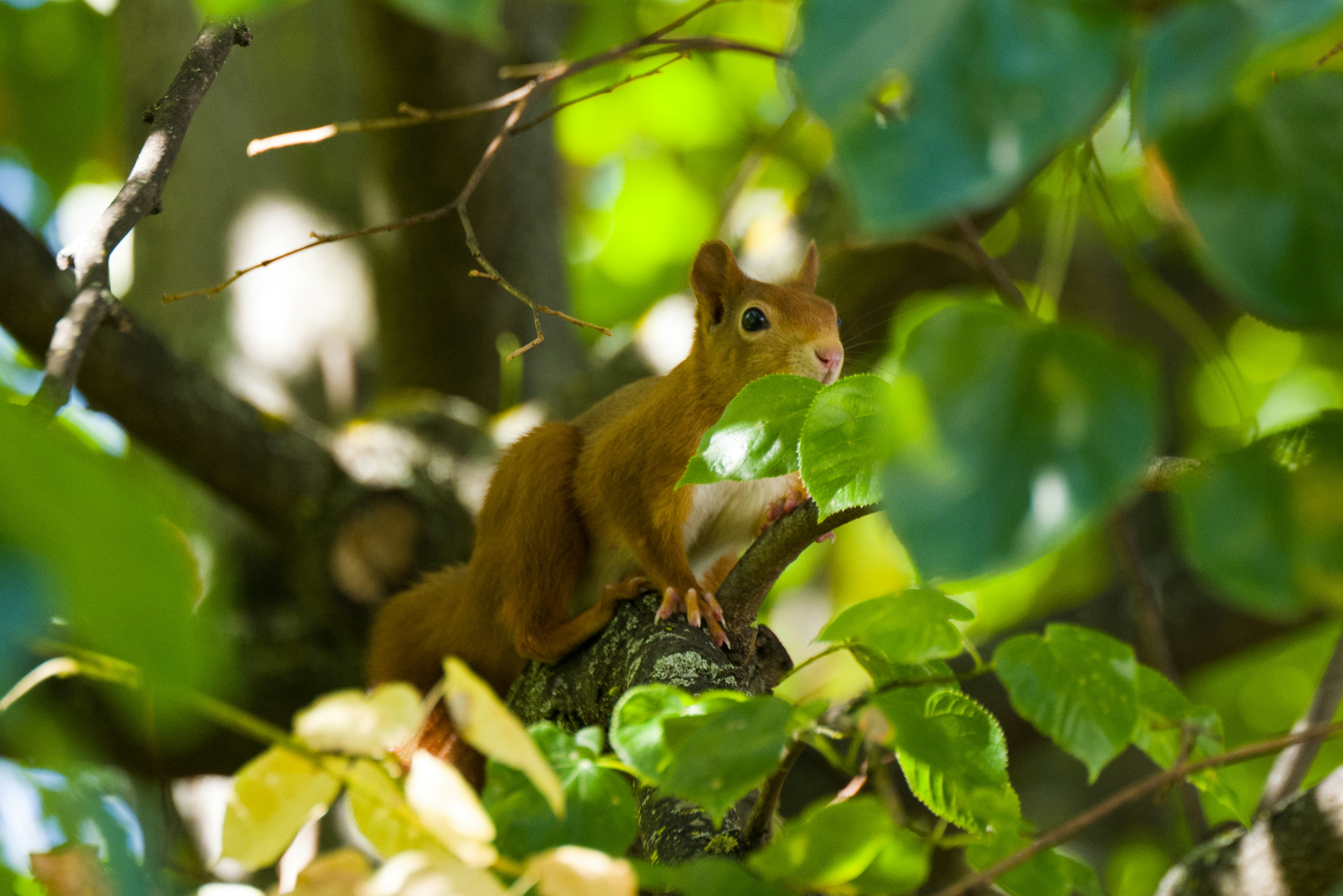 Photo by georgeiermann