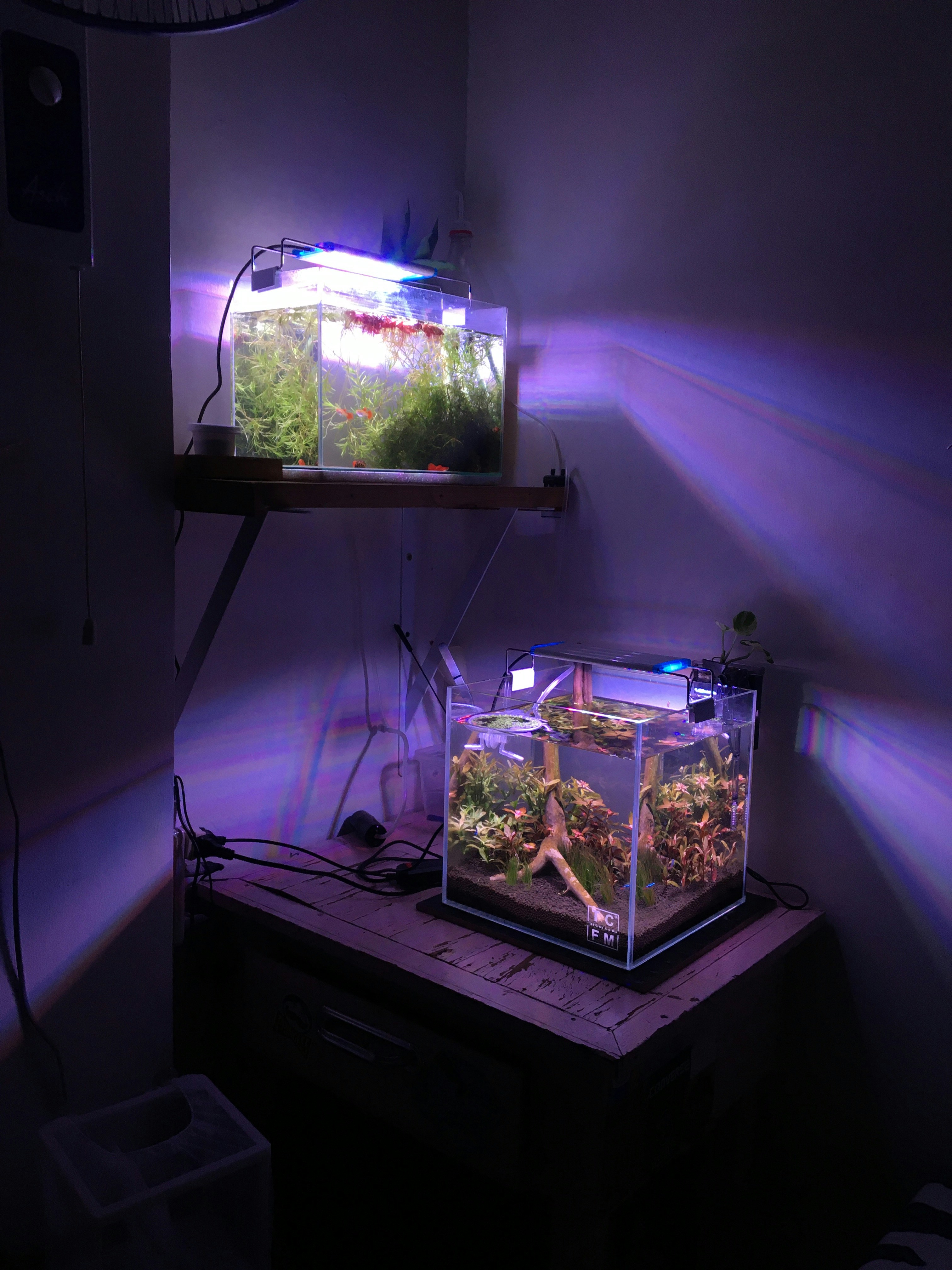 Premium Aquarium Accessories