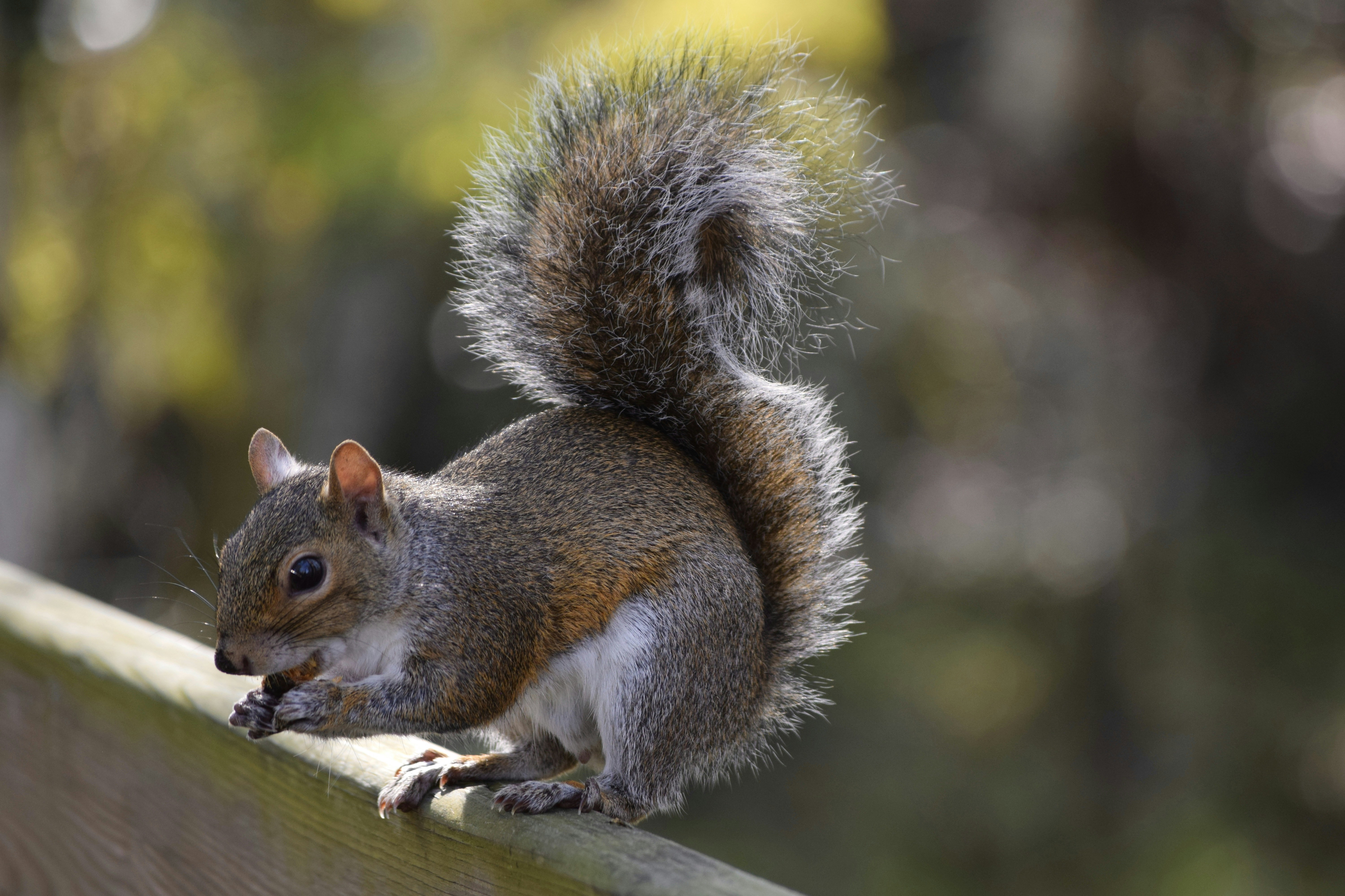 Photo by praswinprakashan