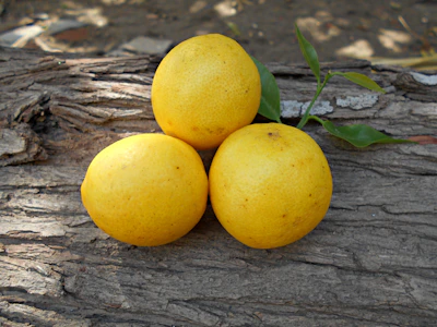 A bright, fresh lemon resting on a rustic wooden table, symbolizing the 'Mažoji citrina' package.