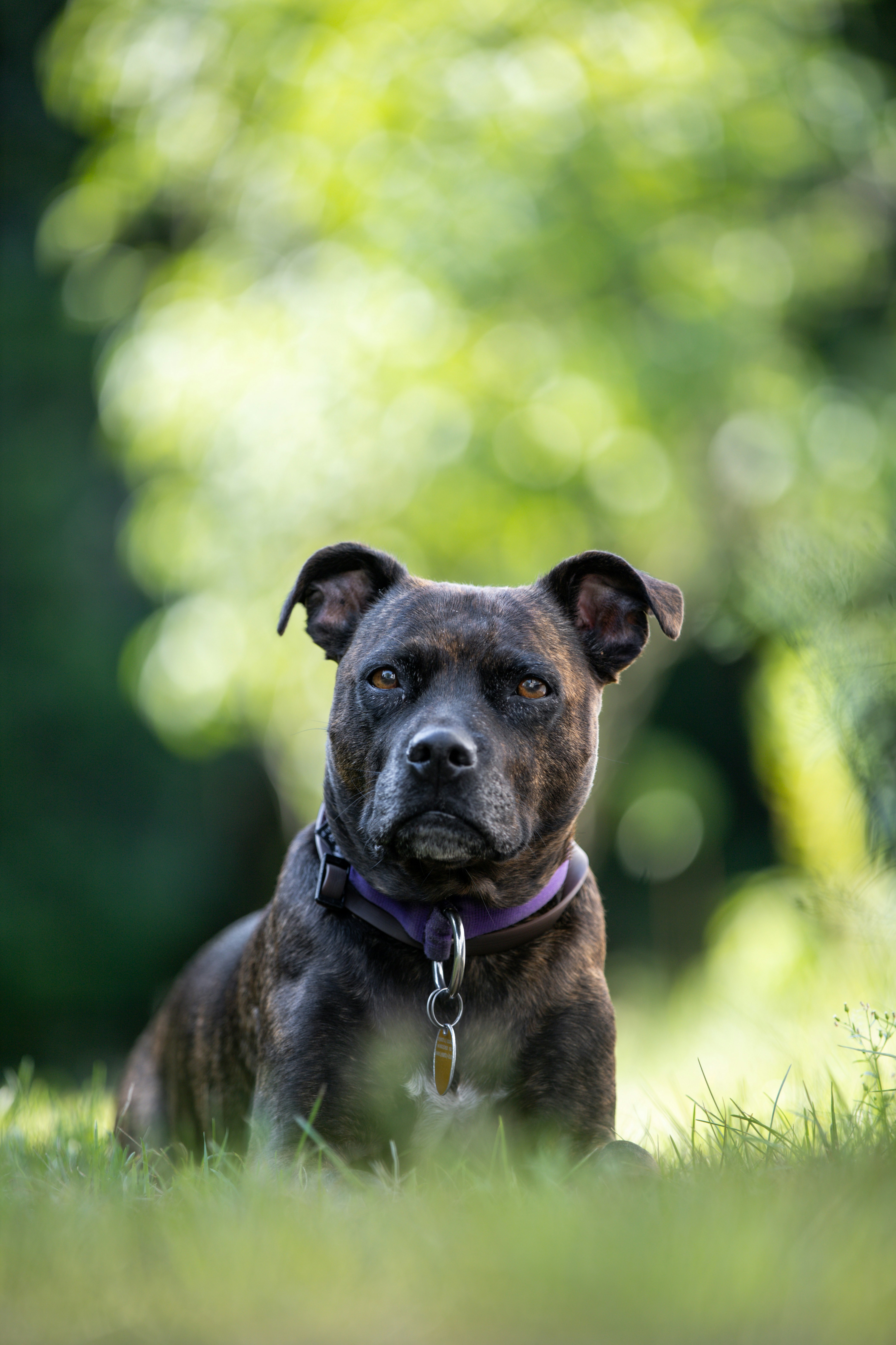 Photo by victor_vector