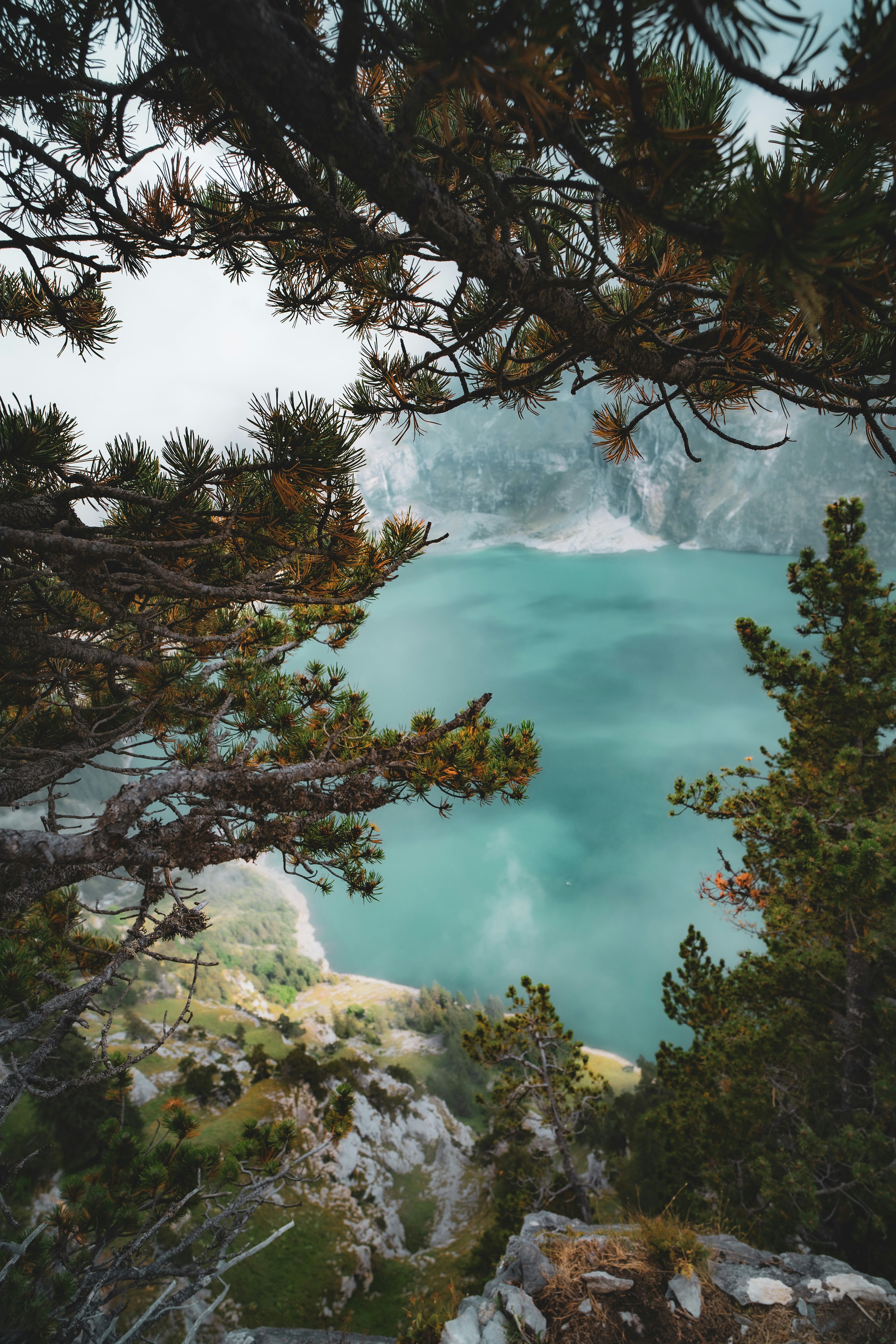 Photo by watchelijah