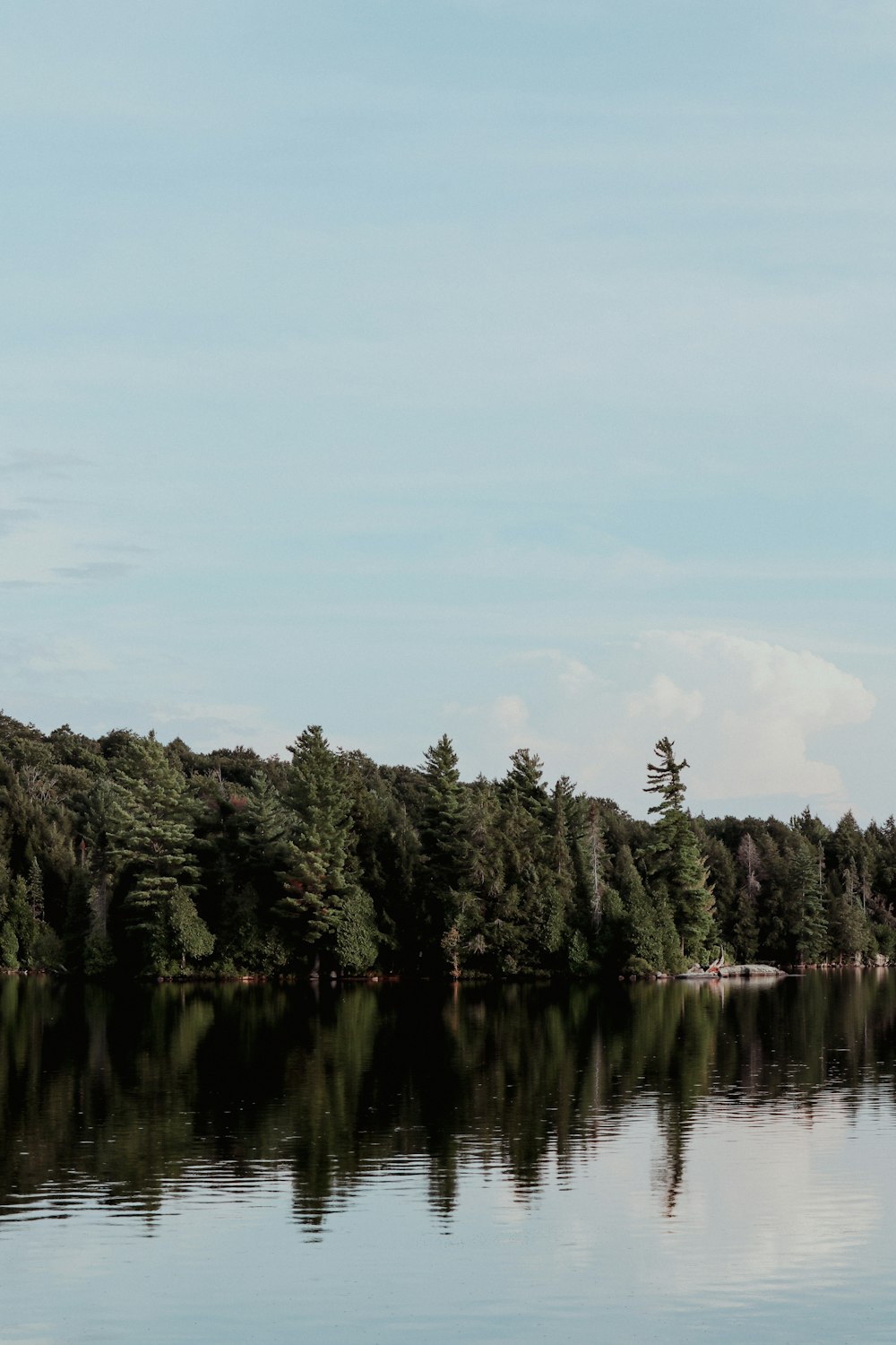 a body of water with trees on the side