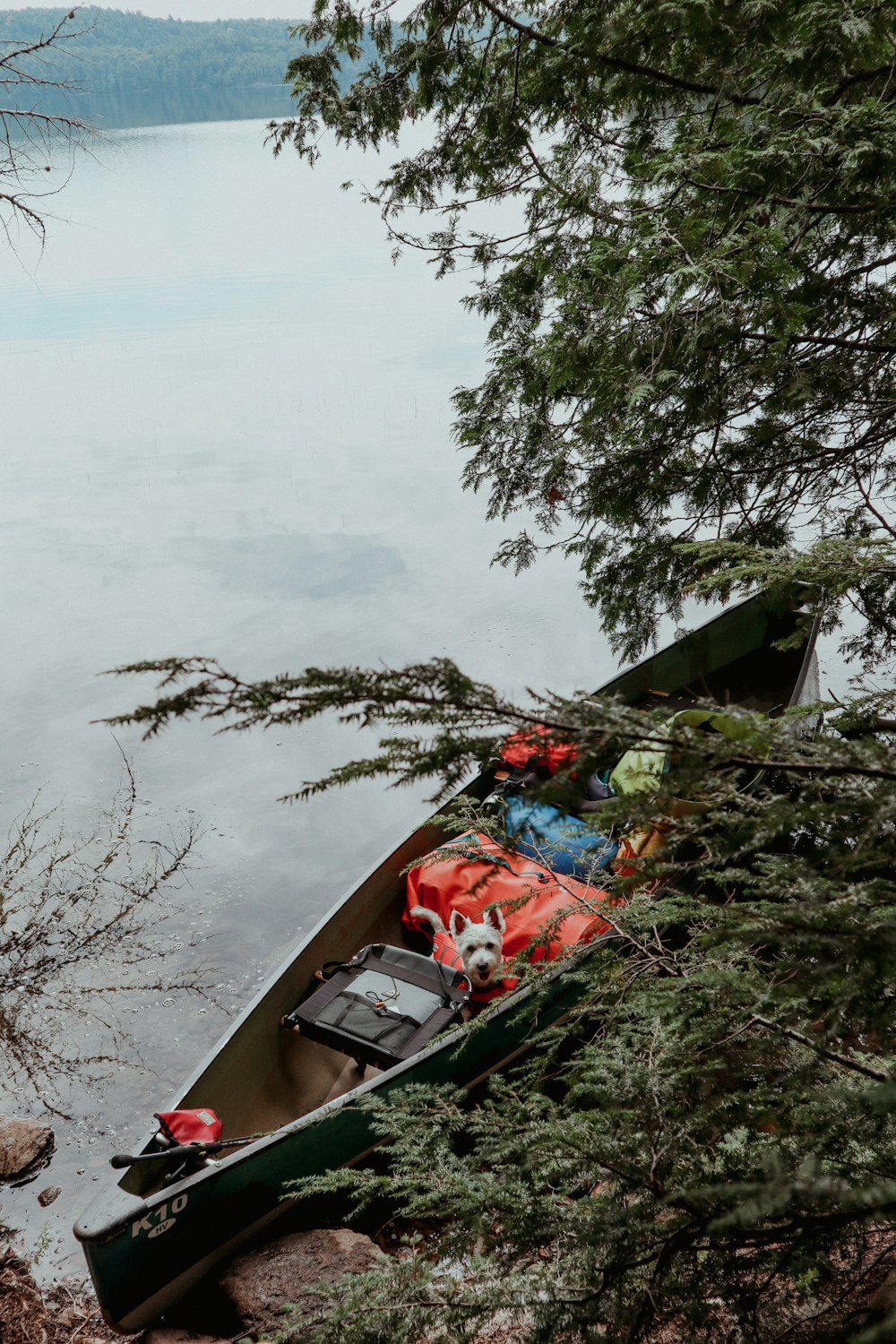 a boat on the water