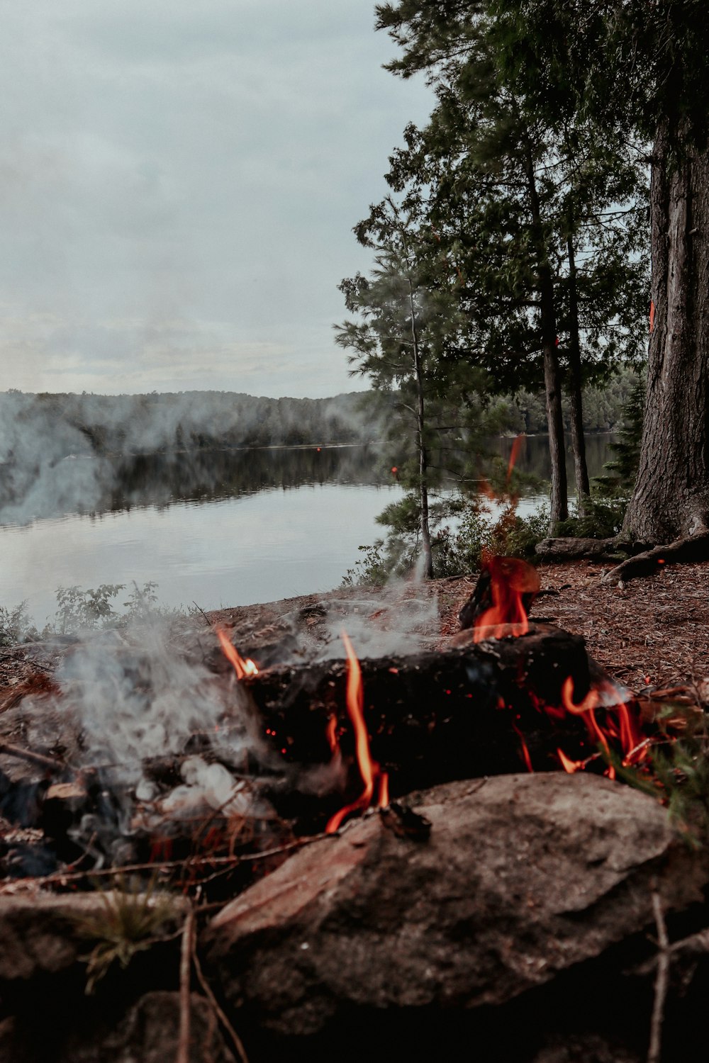 a fire in a forest