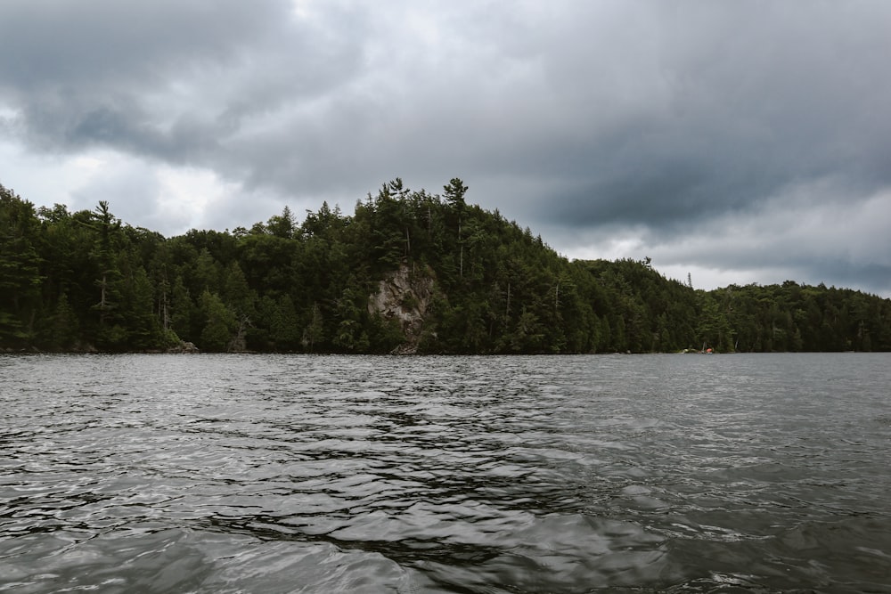 a body of water with trees in the back