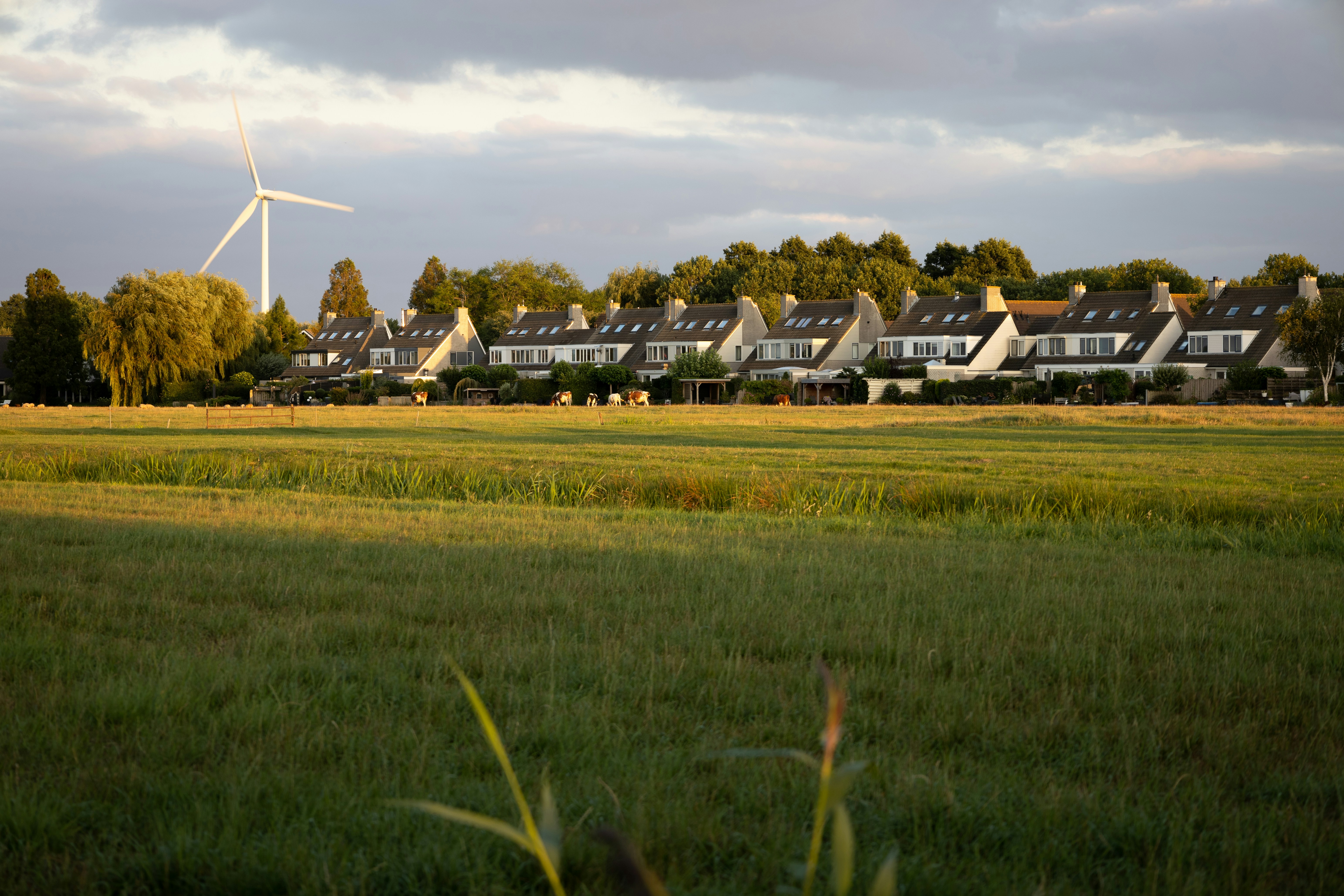 Afbeelding van Mijdrecht