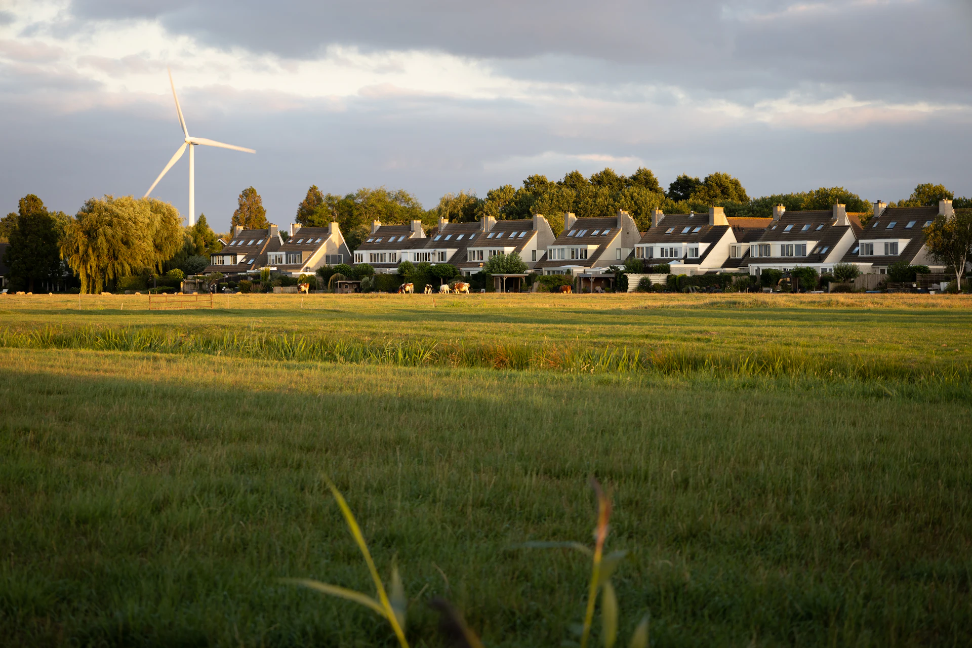 Wind turbines in the Dutch landscape