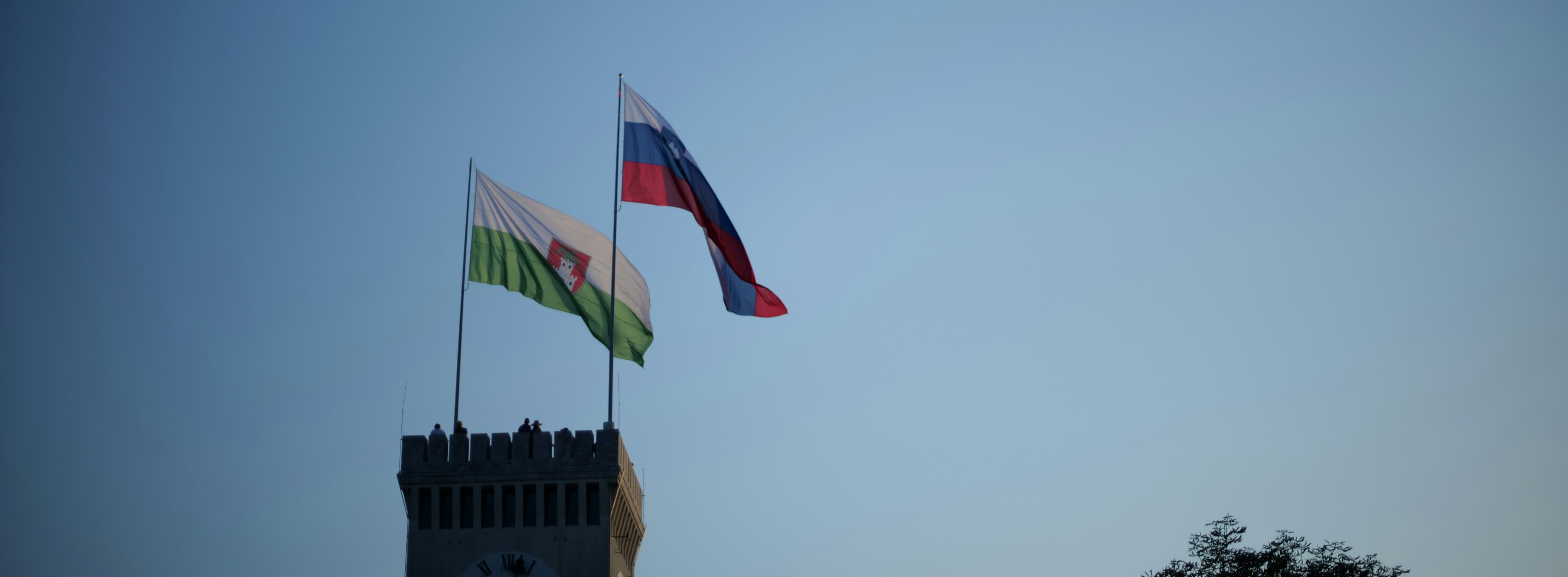 a few flags flying in the air