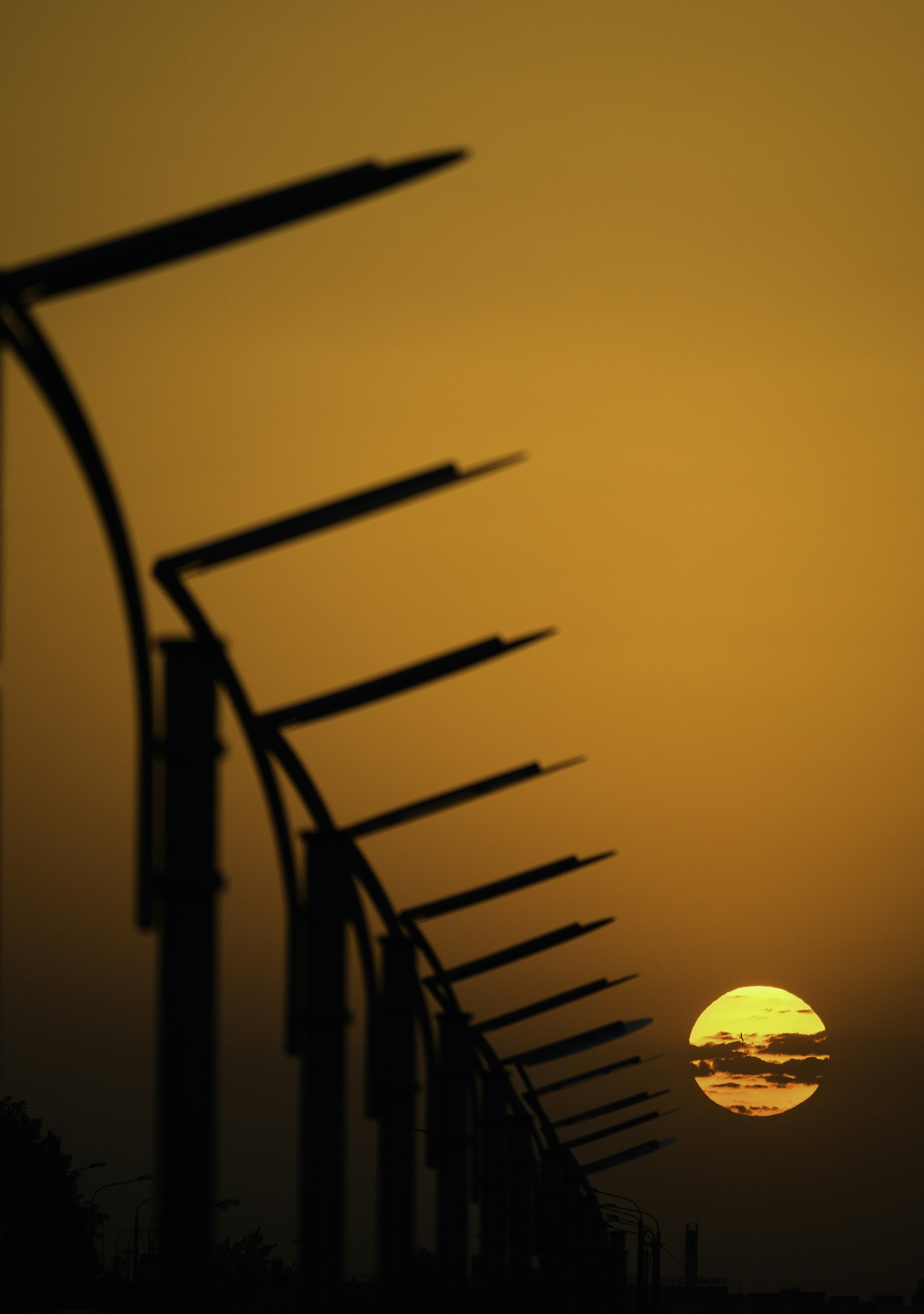 a row of wind turbines