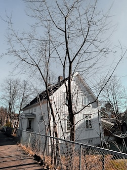 A white house with steep rooflines partially obscured by leafless trees in the foreground. The trees cast intricate shadows on the facade, which contrasts against a clear blue sky. A fence runs along the side of the path leading up to the house, bordered by dried foliage.