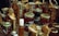 A variety of jars and bottles displaying honey, dried fruits, and other artisanal products. The jars are arranged on a wooden surface, with decorative wooden signs and labels highlighting the contents. The products appear to be homemade or locally sourced, giving an artisanal and rustic vibe.