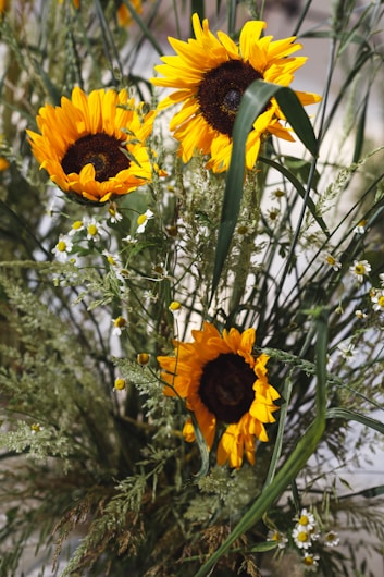 Bright and vibrant sunflowers with large yellow petals surround a dark, textured center, complemented by delicate white daisies and lush green foliage.