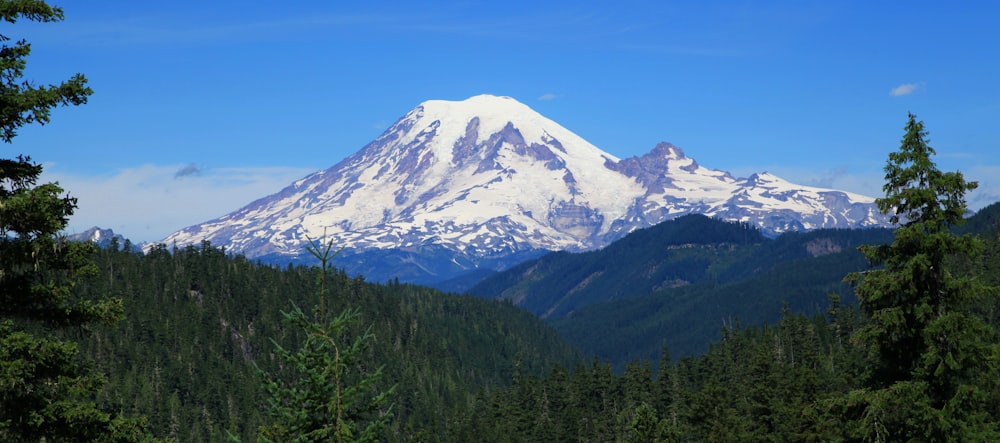 a snowy mountain with trees below