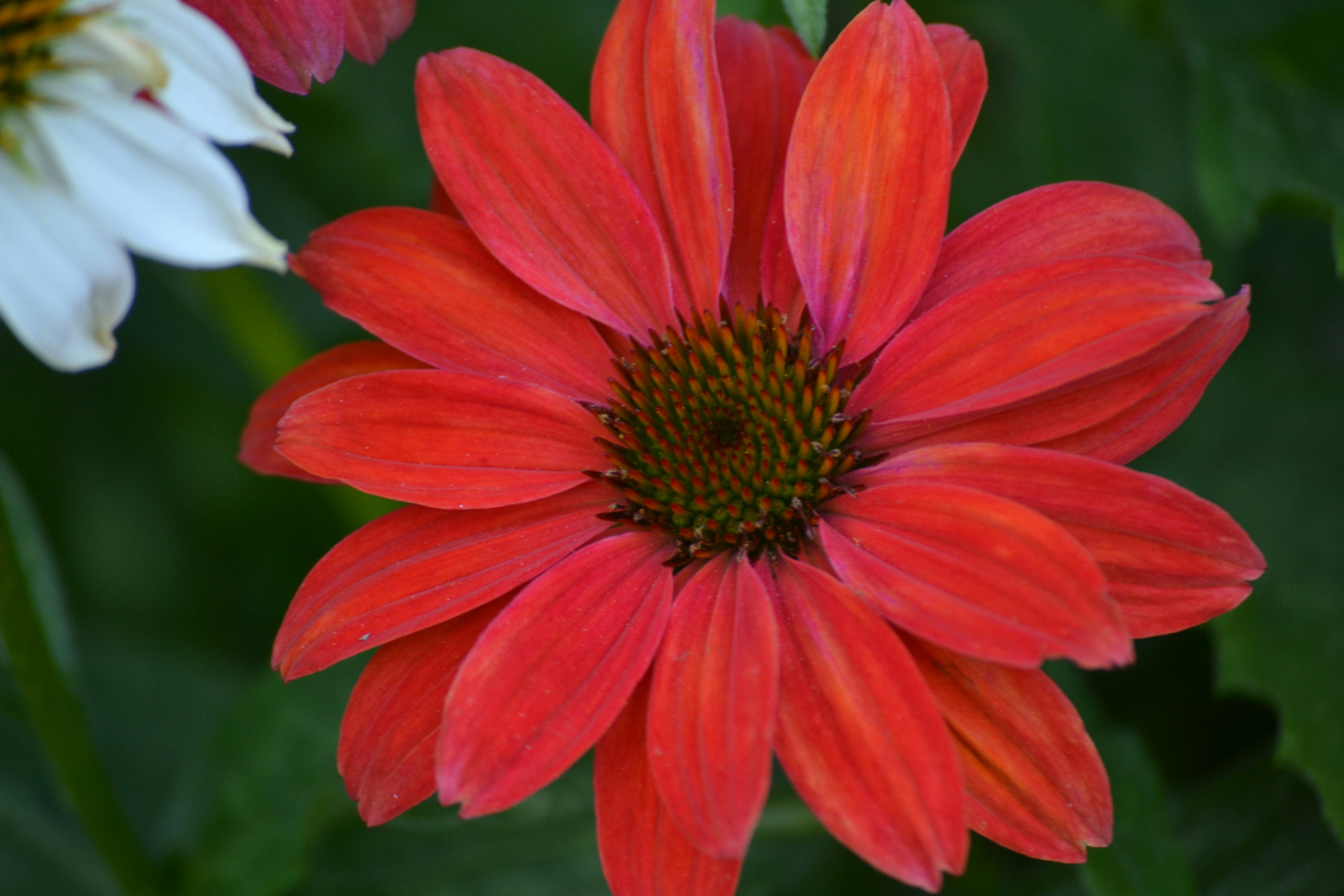 Photo by markagardphoto