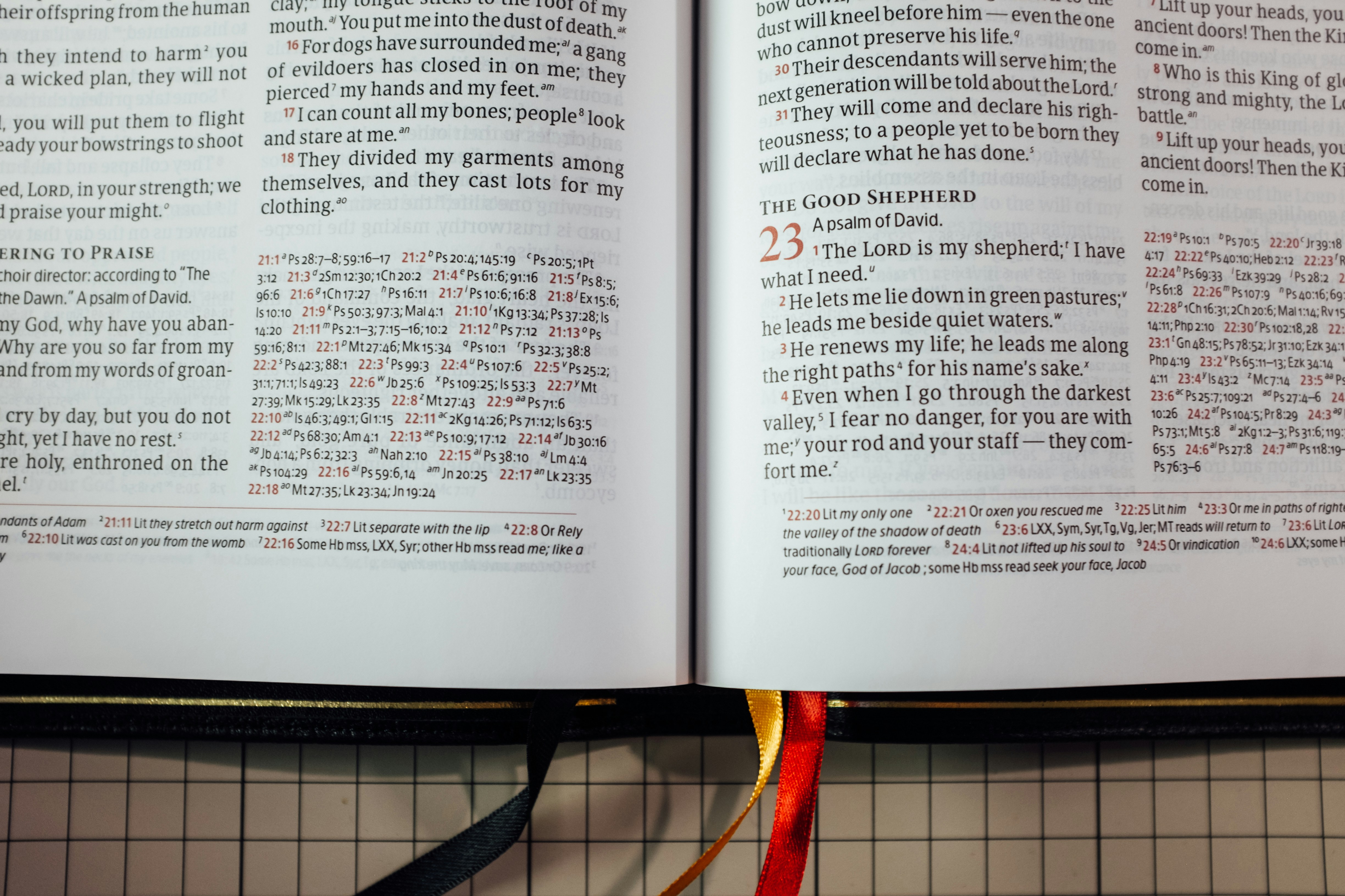 9 Image PDF Conversion Terms Explained in Simple Language