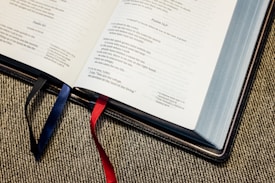 An open Bible is displayed on a fabric surface. Two ribbons, one blue and one red, act as bookmarks. The pages are filled with text, featuring a section labeled Psalm 142.