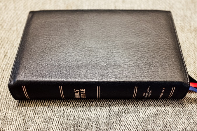 The Creation: Understanding the Divine Blueprint of the Holy Bible
