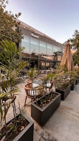 An elegant outdoor seating area surrounded by well-maintained plants.