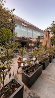 A commercial outdoor space designed with sustainable plants and seating.